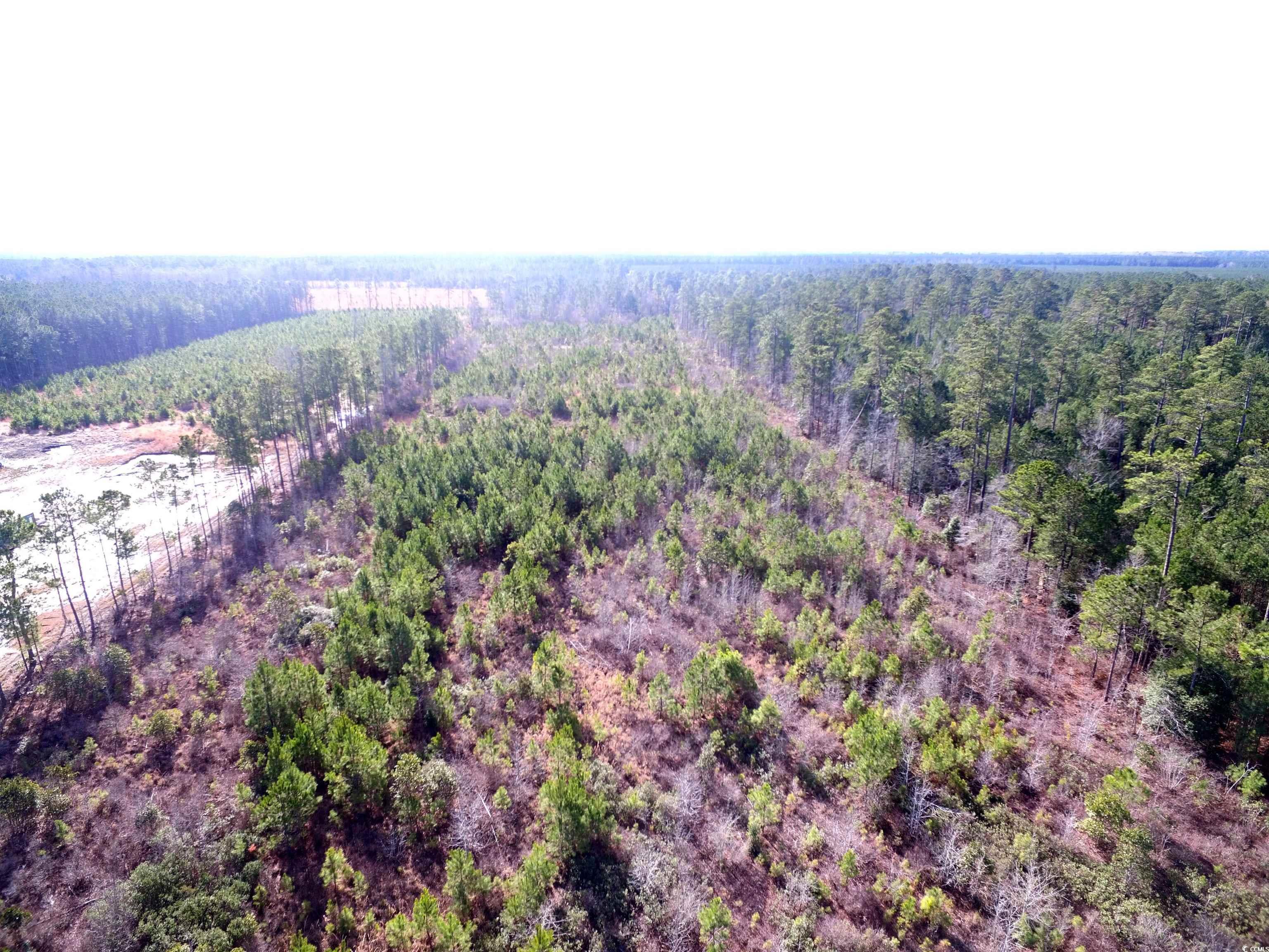 TBD Southwind Rd, Pamplico, South Carolina image 6