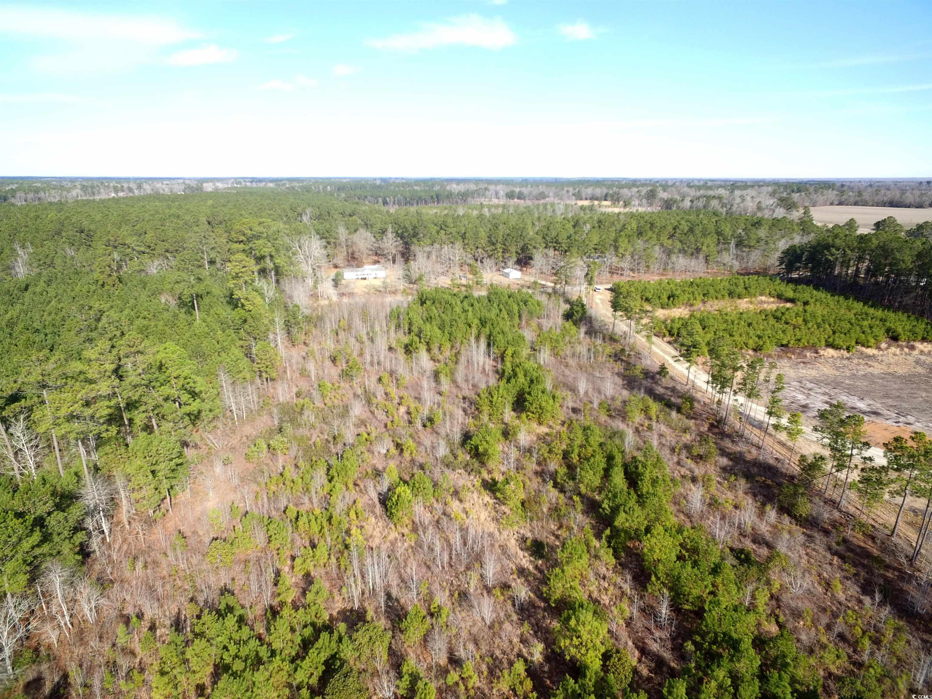 TBD Southwind Rd, Pamplico, South Carolina image 9