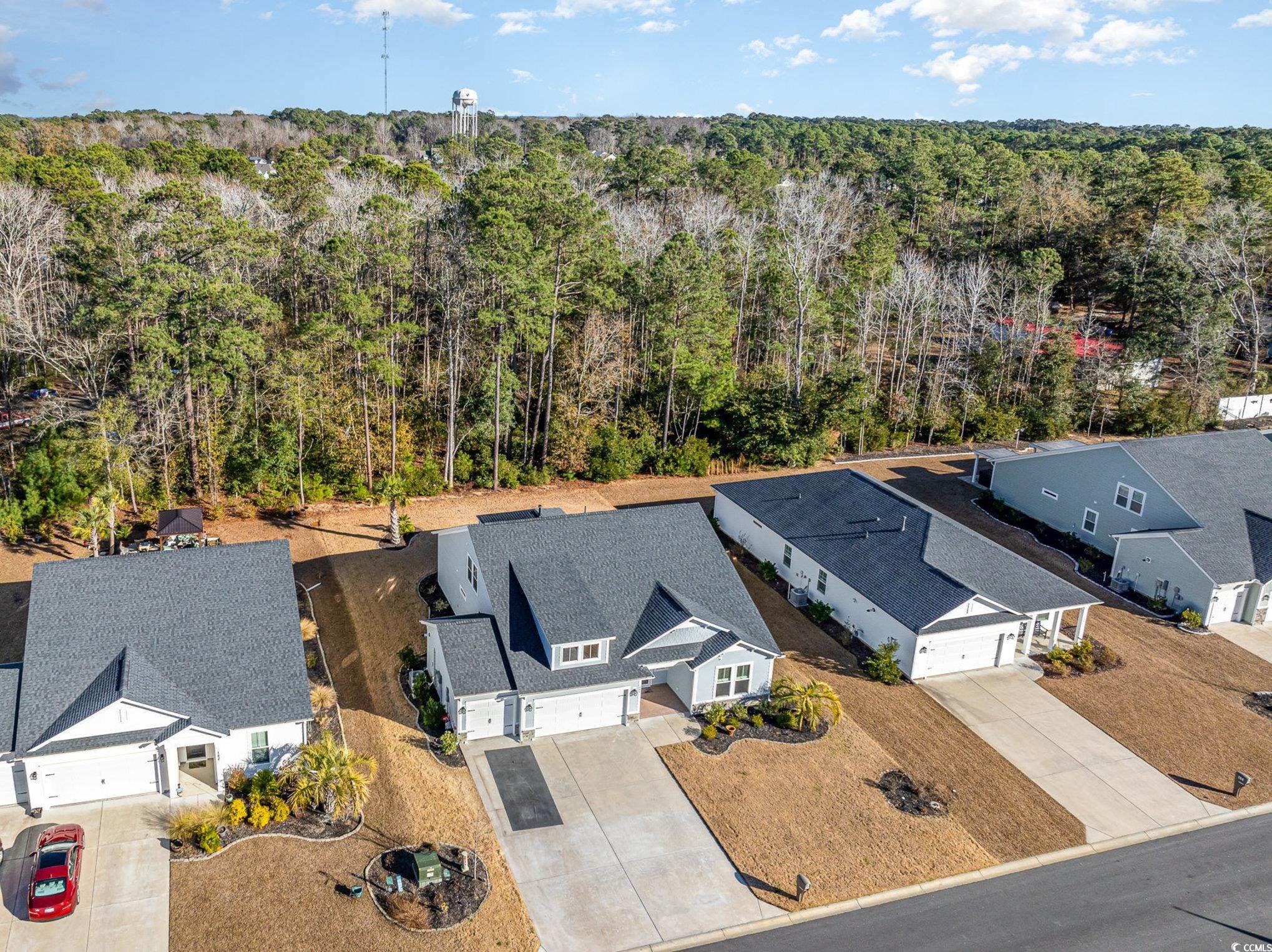 146 Caroline Ct., Murrells Inlet, South Carolina image 39
