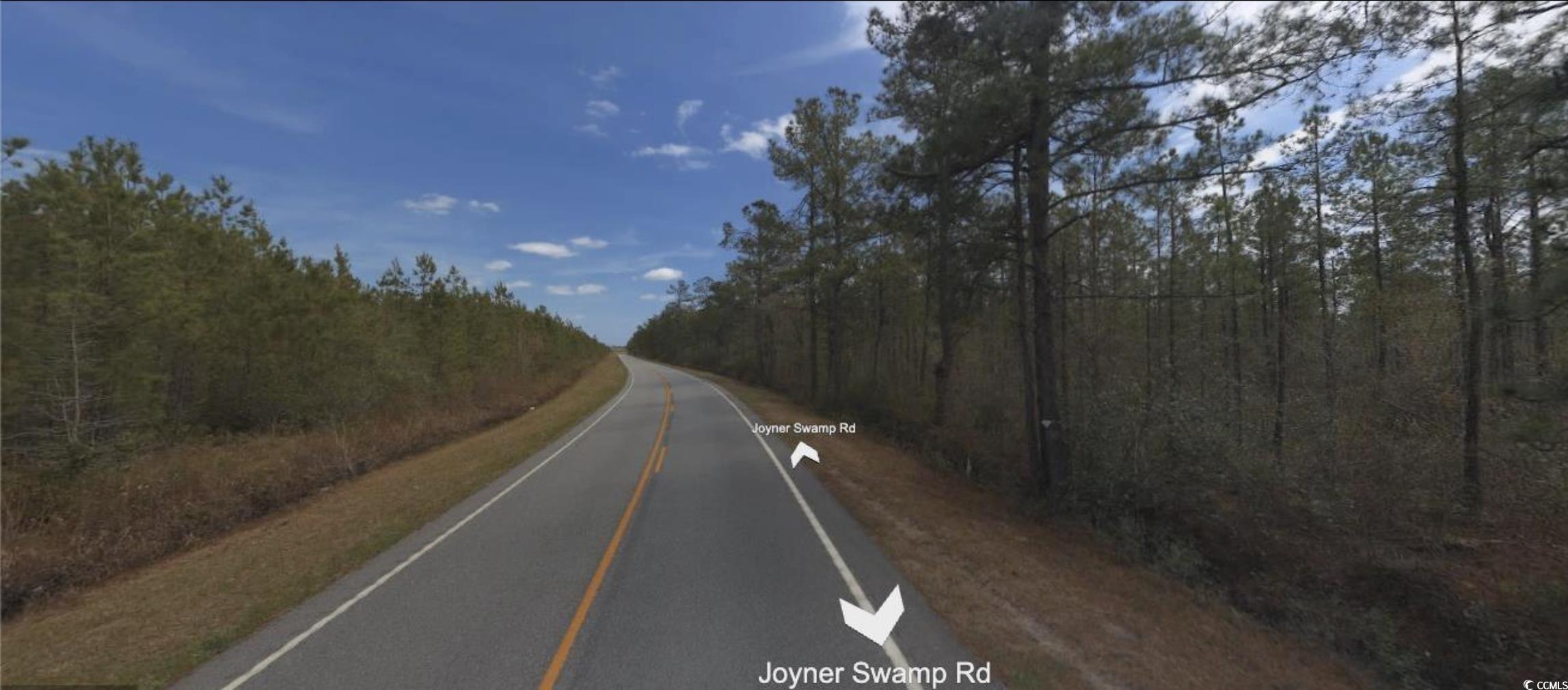 TBD Joyner Swamp Rd., Galivants Ferry, South Carolina image 3