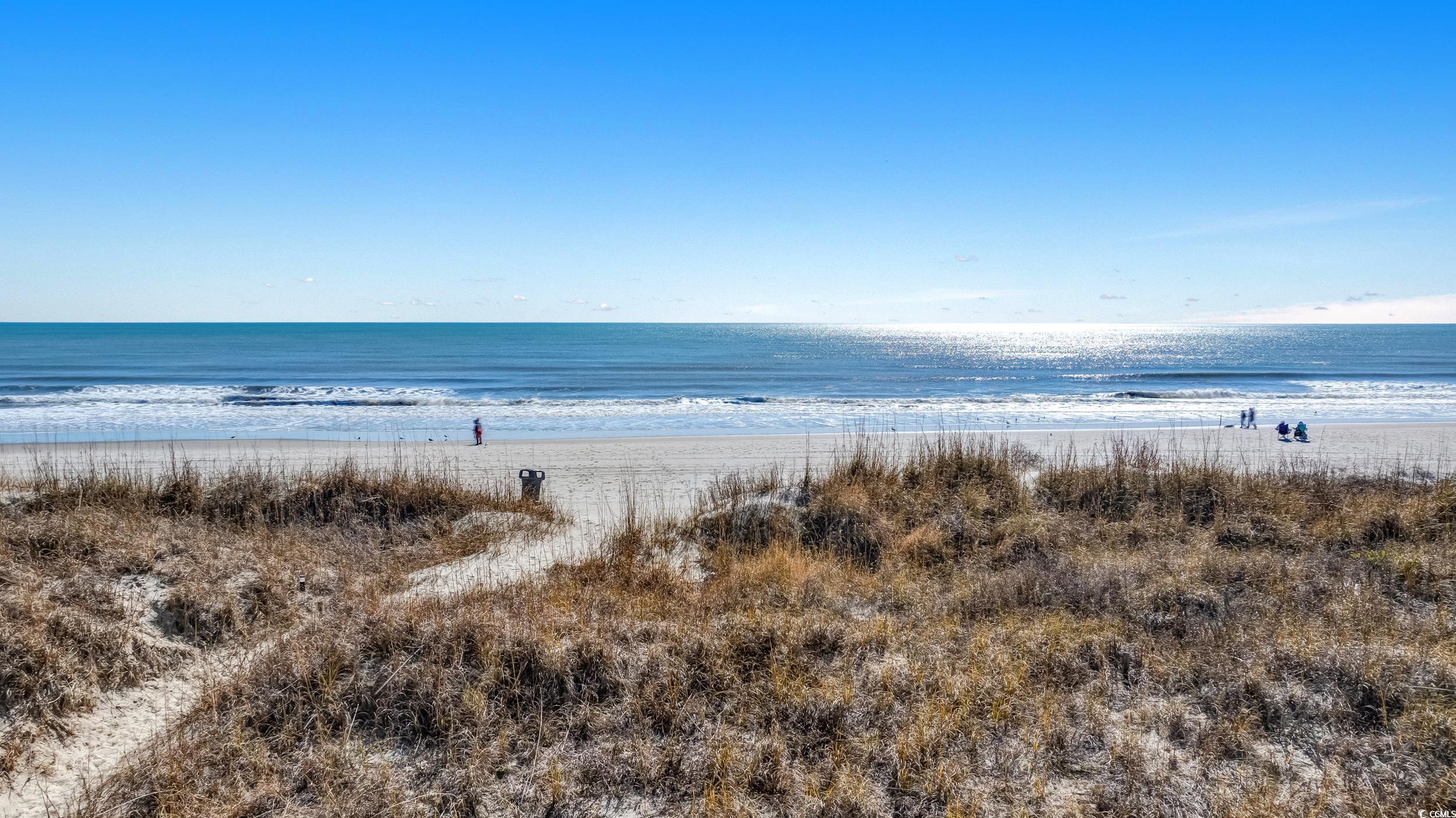 3701 S Ocean Blvd. #109, North Myrtle Beach, South Carolina image 28