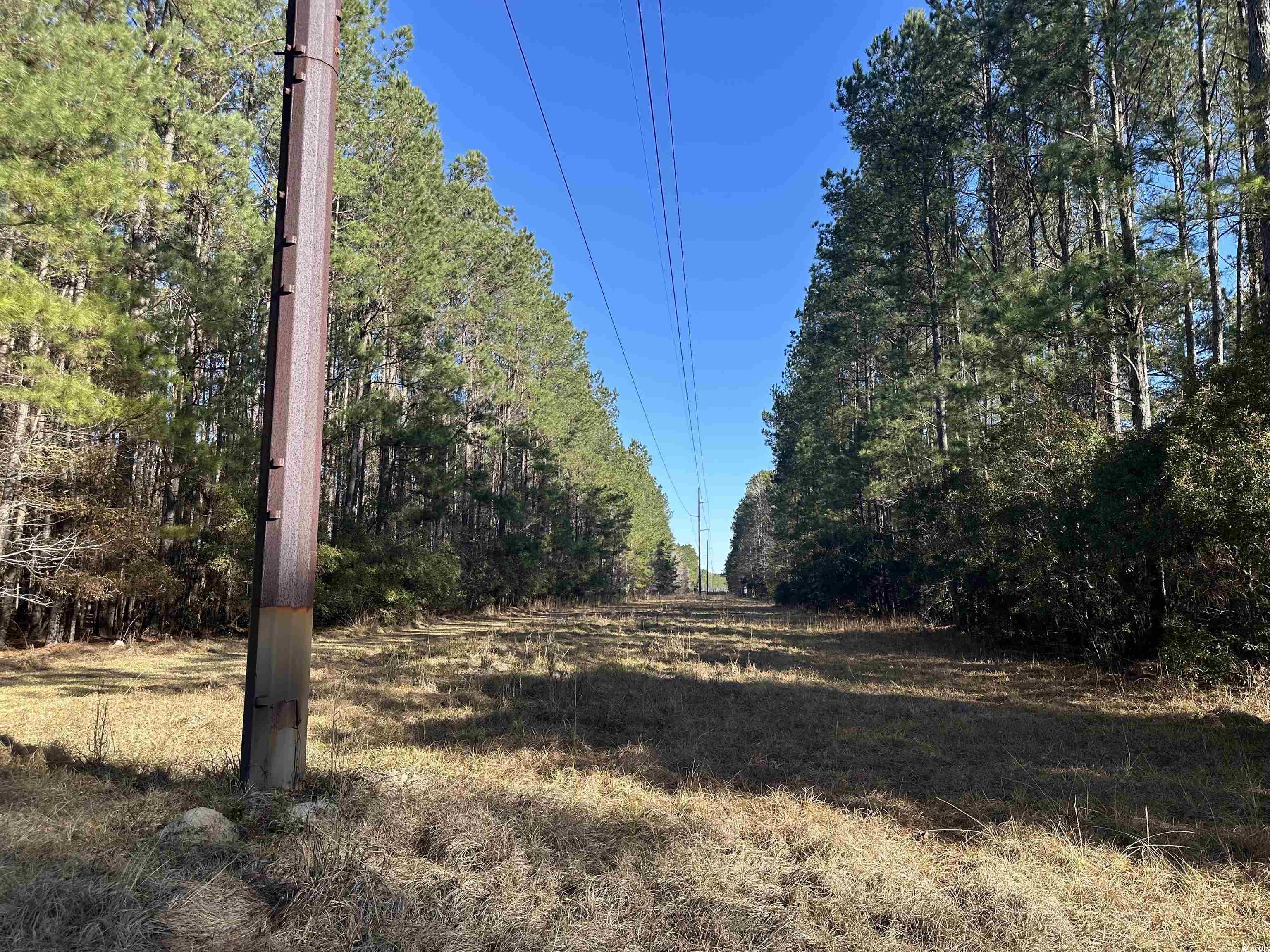 TBD Highway 521, Andrews, South Carolina image 7