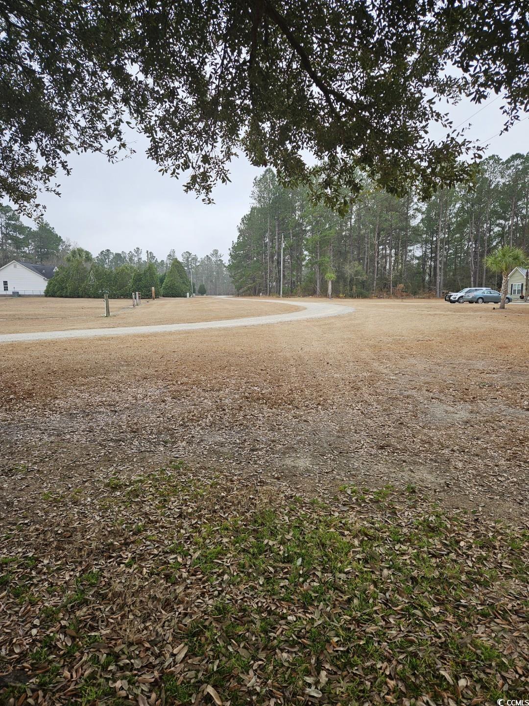 1009 Happy Ln., Galivants Ferry, South Carolina image 6