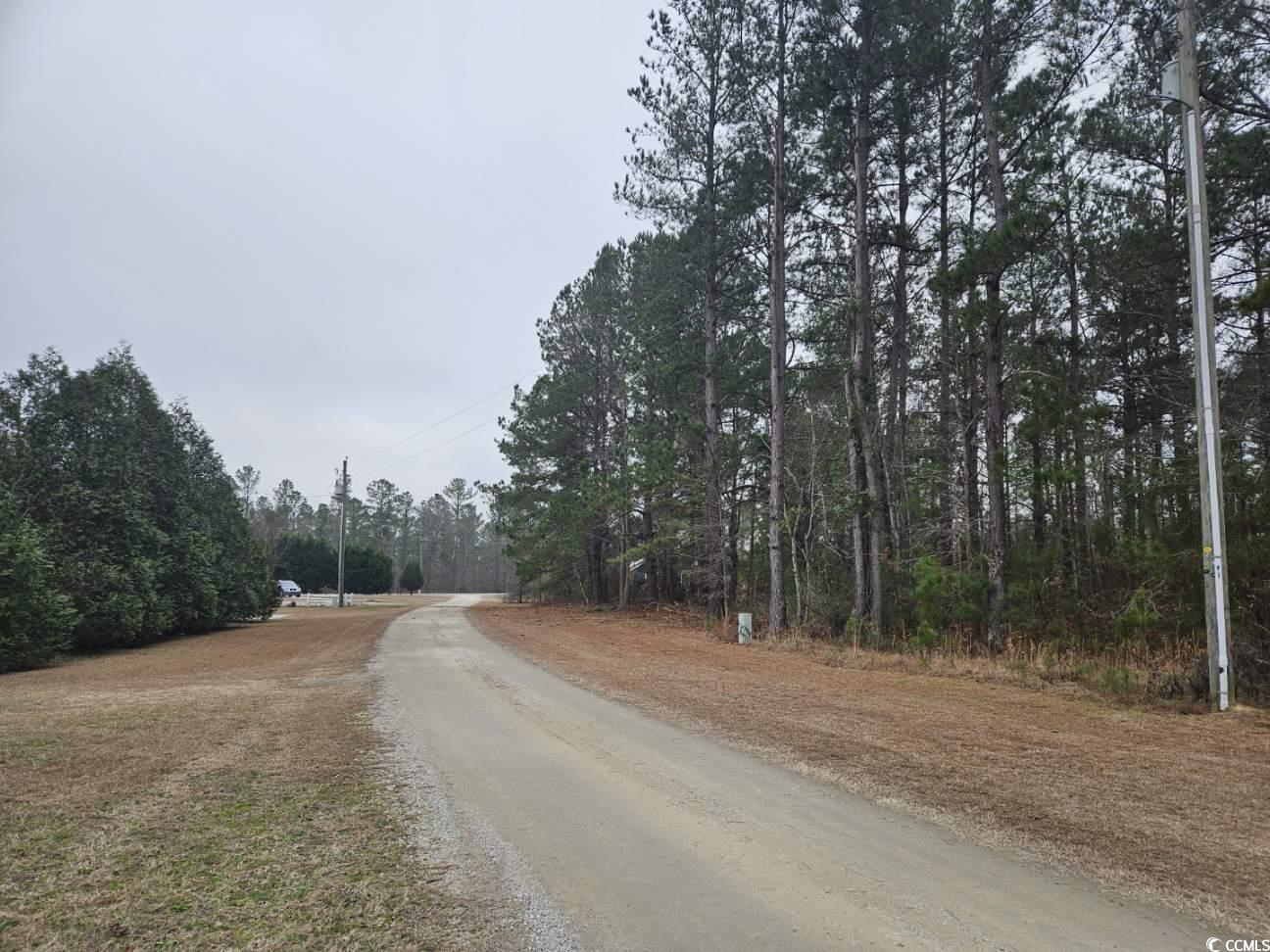 1009 Happy Ln., Galivants Ferry, South Carolina image 7