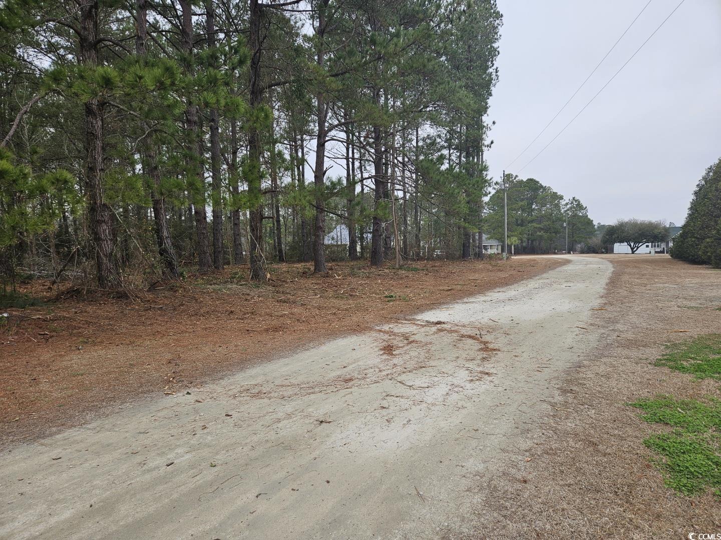 1009 Happy Ln., Galivants Ferry, South Carolina image 8