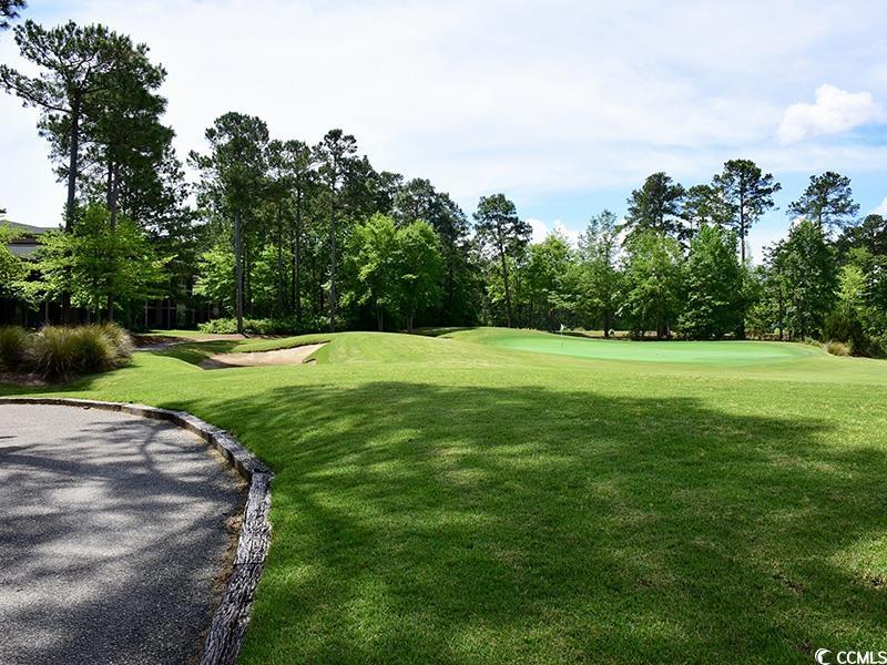 398 Blue Stem Dr. #59E, Pawleys Island, South Carolina image 22