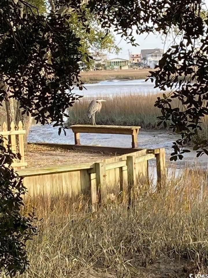 320 Clam Shell Circle, Garden City Beach, South Carolina image 26