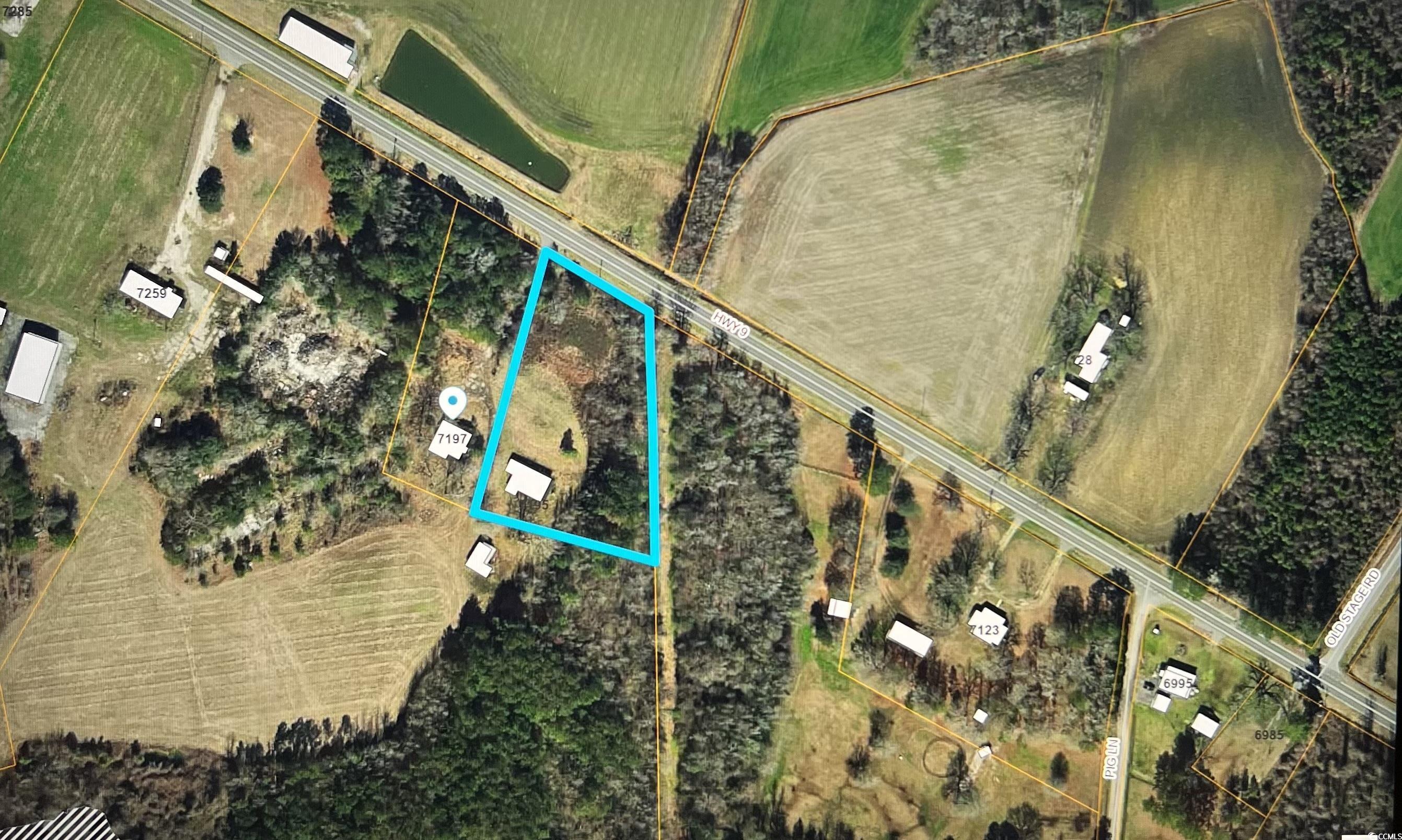 7195 Hwy 9, Nichols, South Carolina image 40