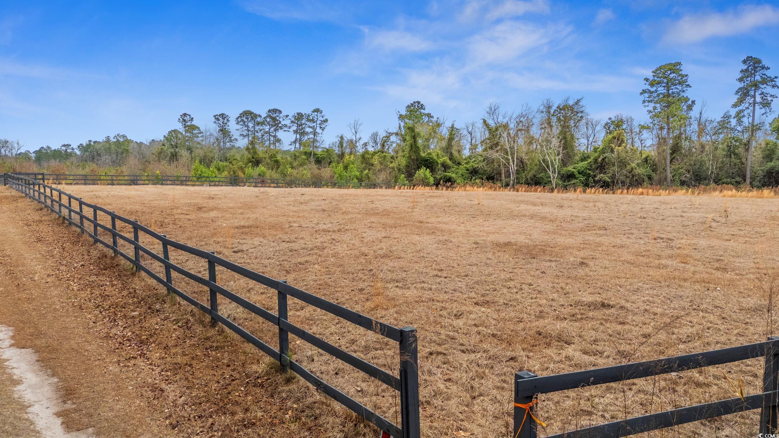 TBD Highway 548 Conway, SC 29526
