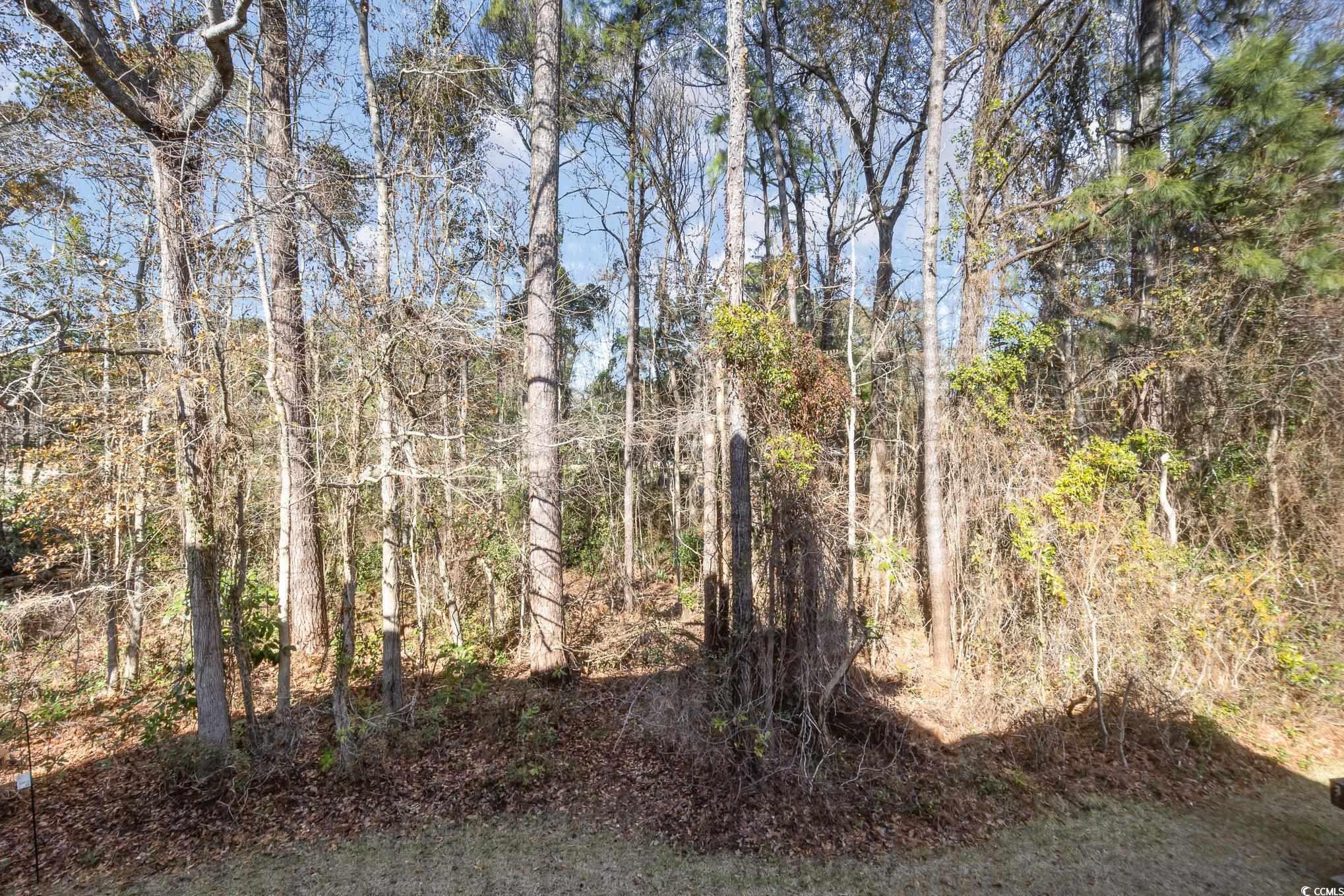 1125 Blue Stem Dr. #29-H, Pawleys Island, South Carolina image 28