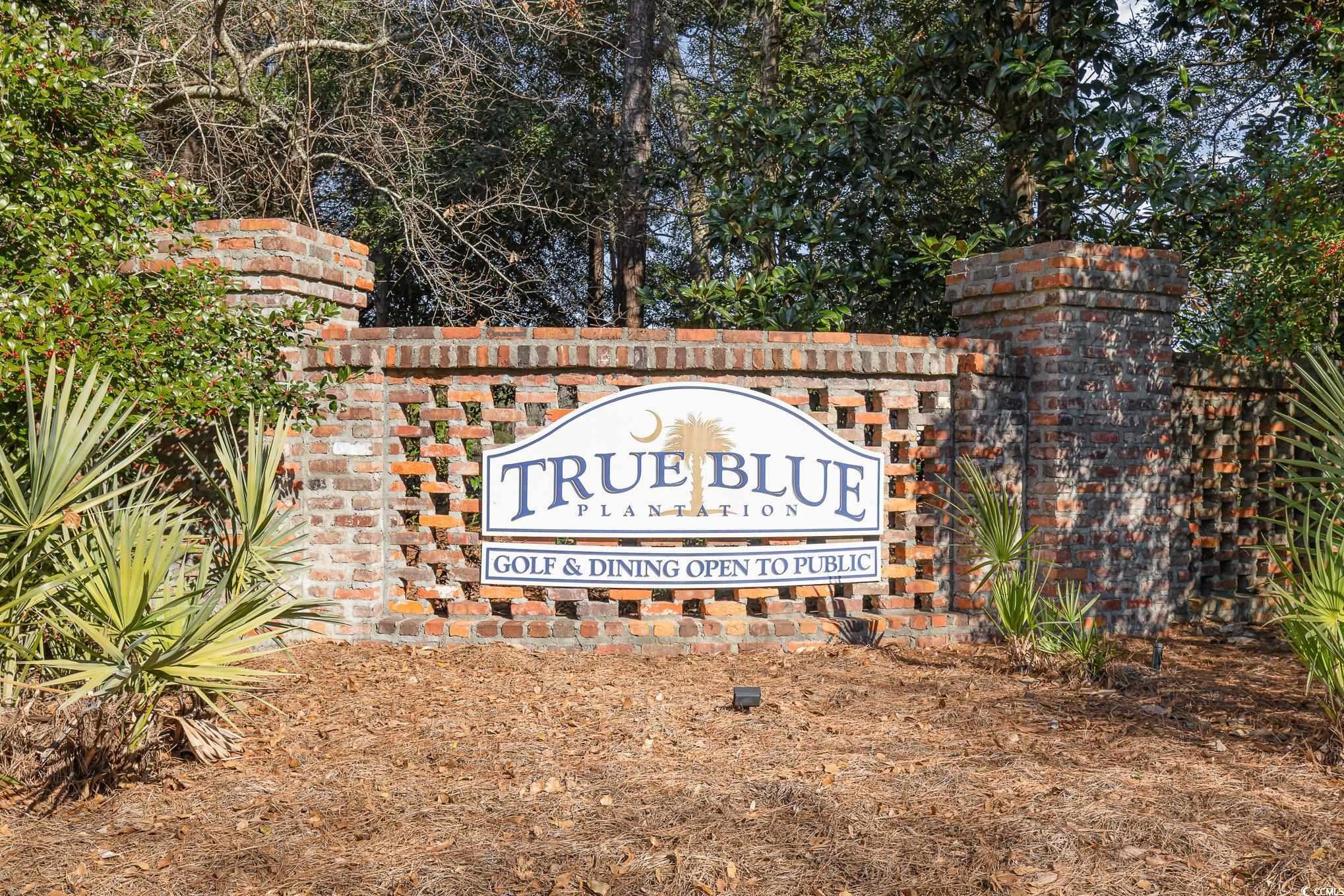 1125 Blue Stem Dr. #29-H, Pawleys Island, South Carolina image 29