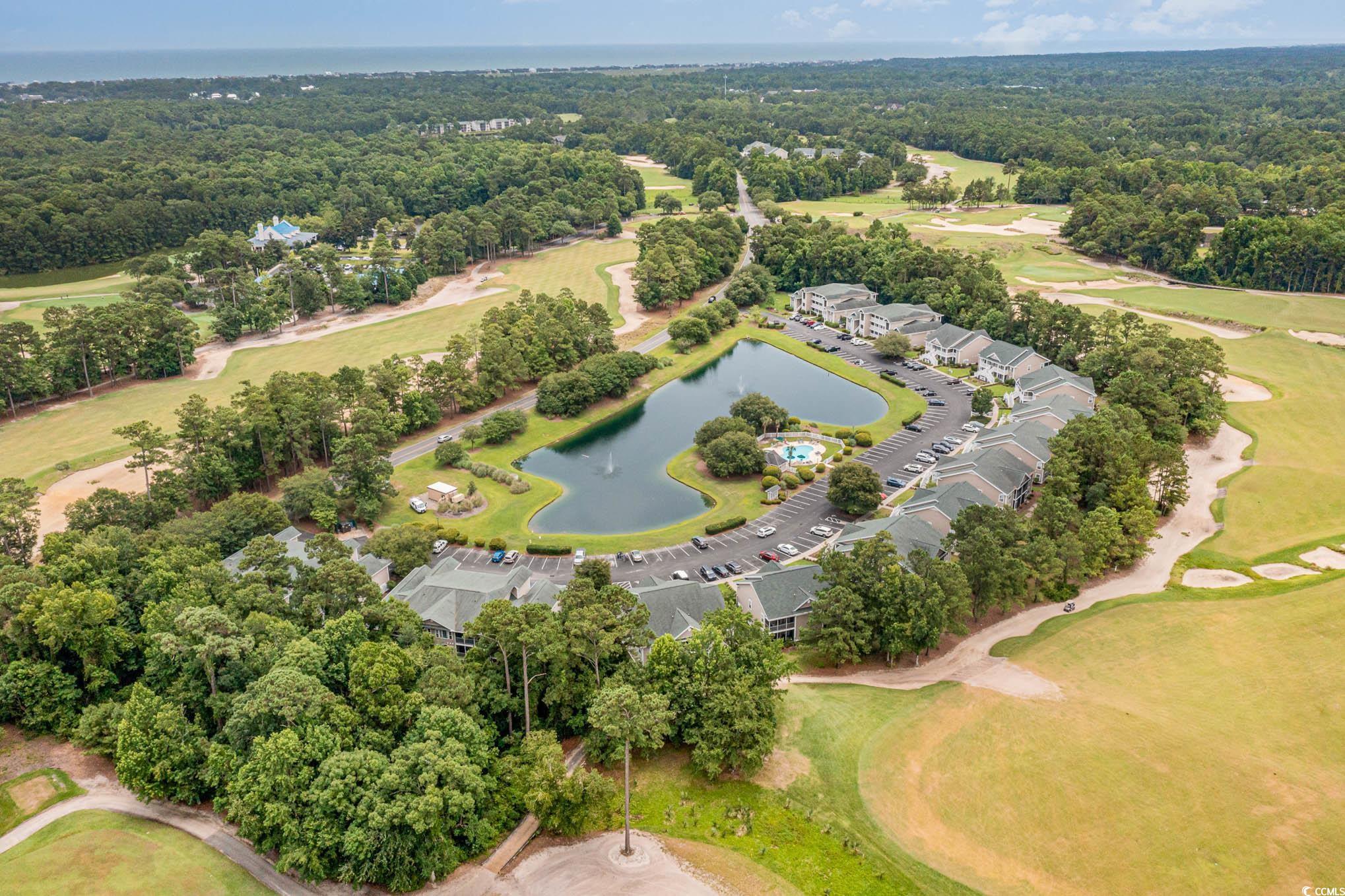 1125 Blue Stem Dr. #29-H, Pawleys Island, South Carolina image 39