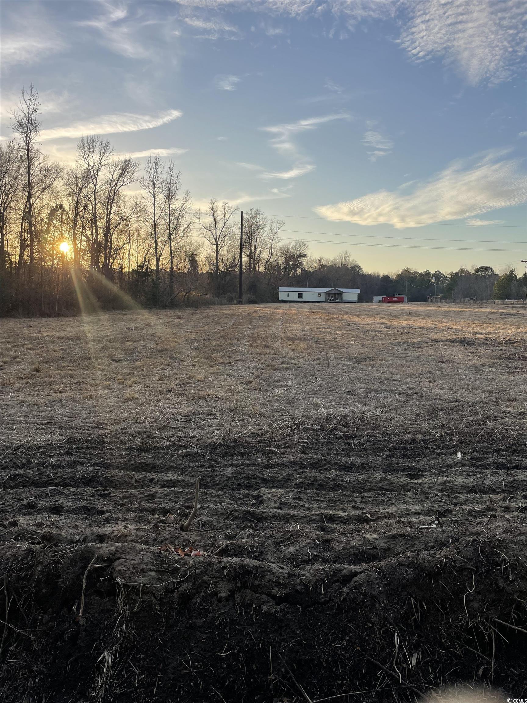 5621 Hwy 712, Galivants Ferry, South Carolina image 1