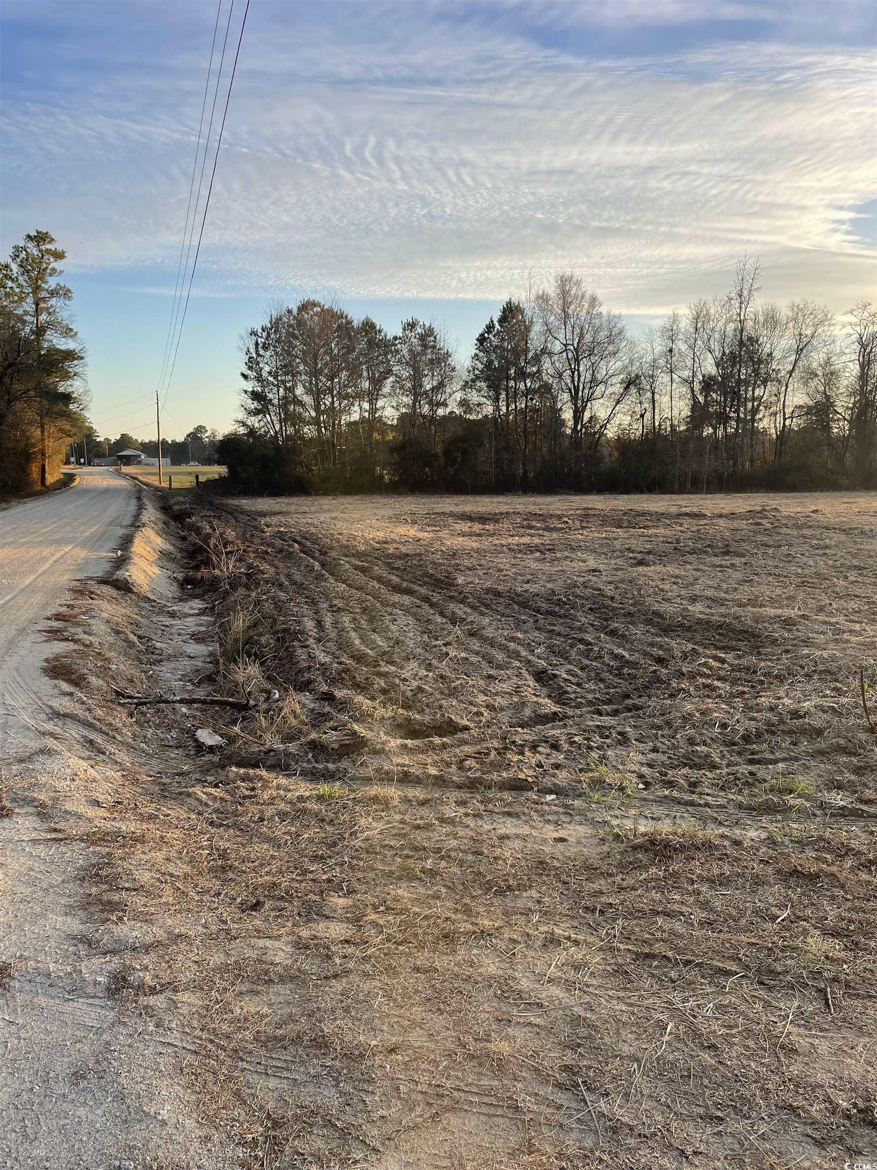 5621 Hwy 712, Galivants Ferry, South Carolina image 2
