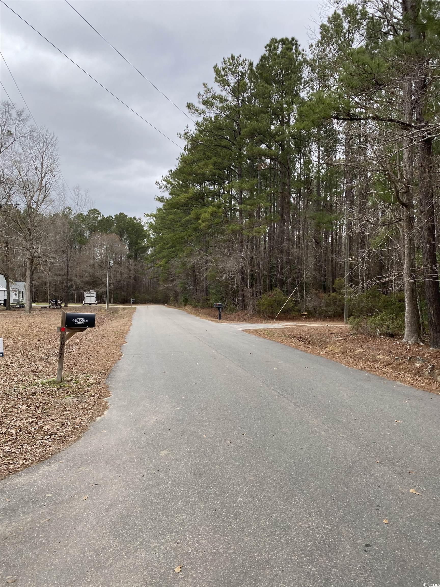TBD Rocky Ln., Conway, South Carolina image 1