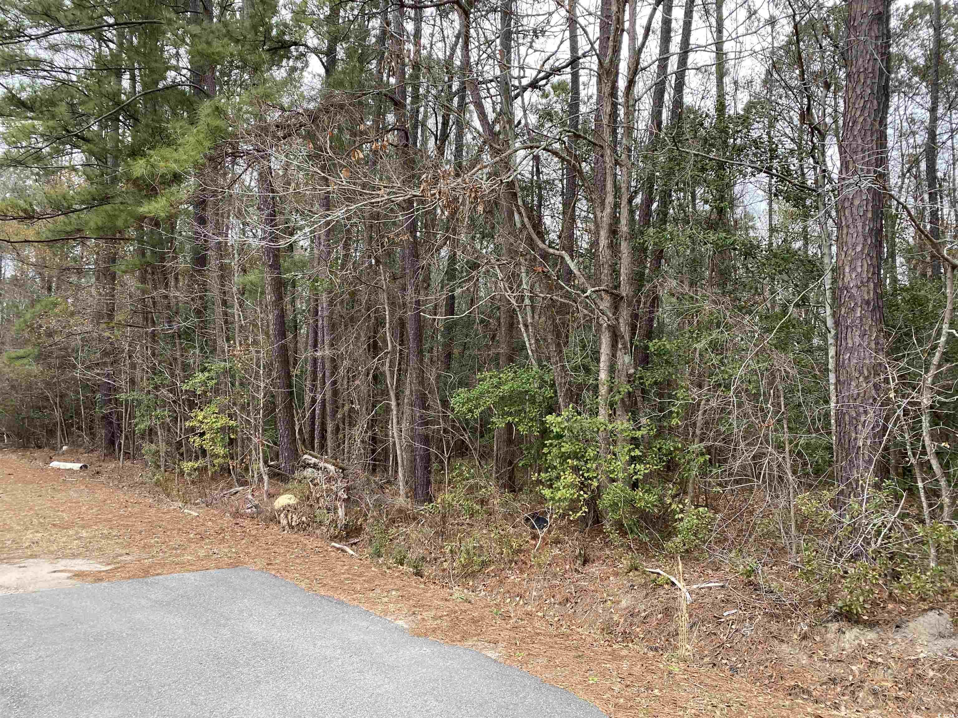 TBD Rocky Ln., Conway, South Carolina image 4