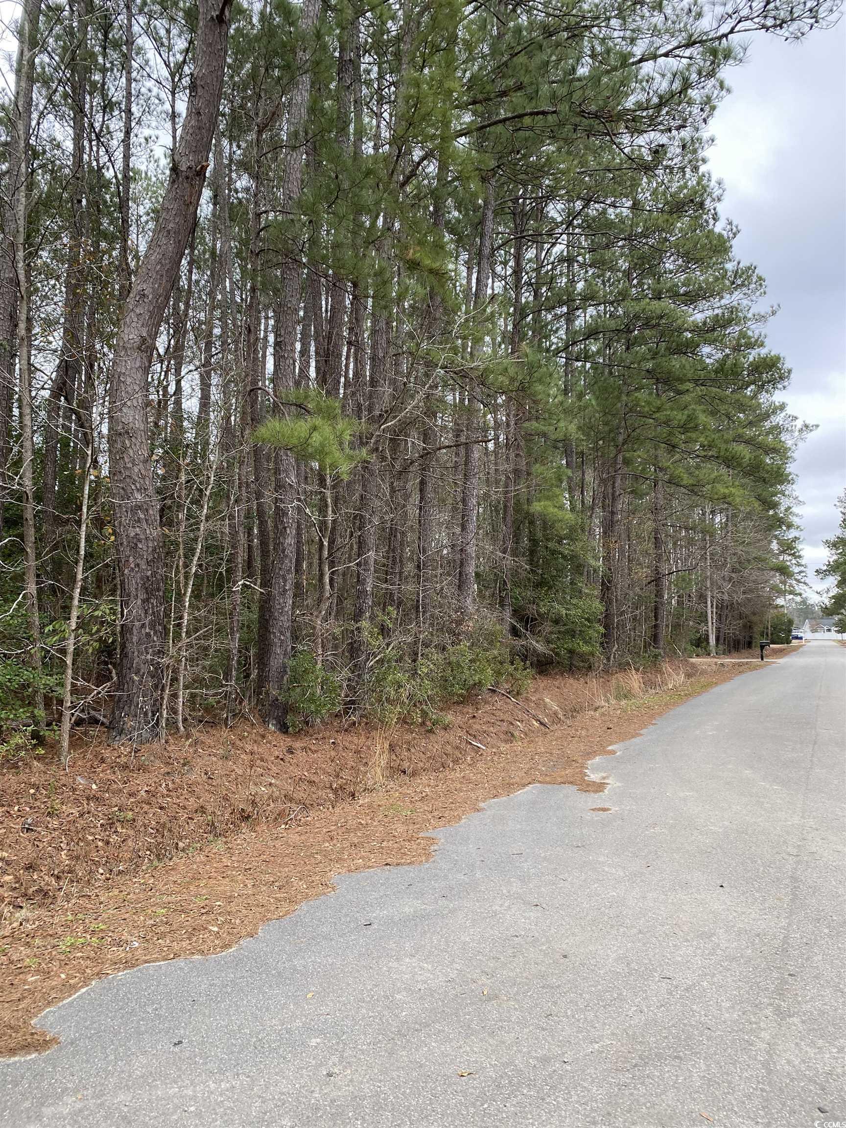 TBD Rocky Ln., Conway, South Carolina image 6