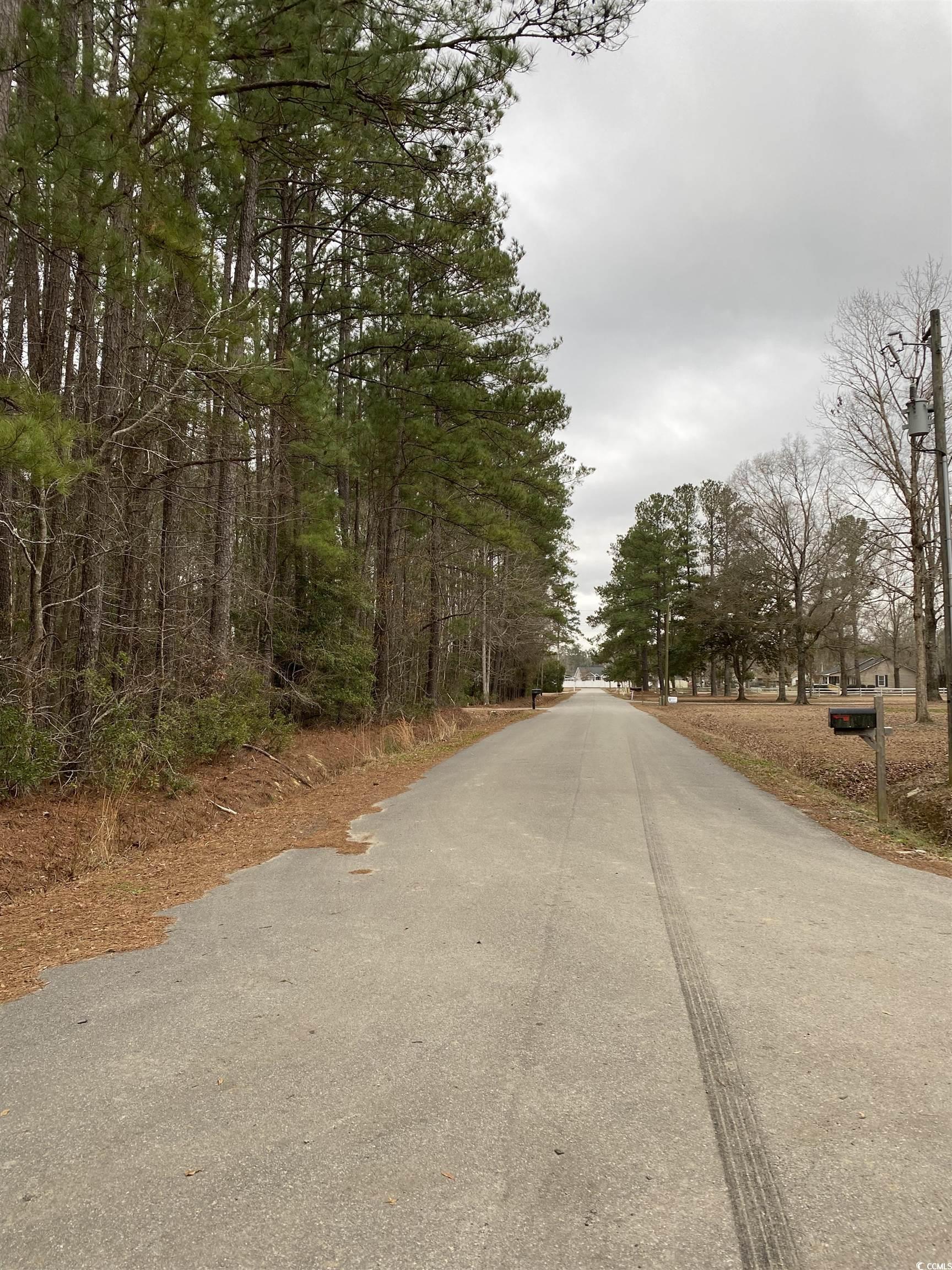 TBD Rocky Ln., Conway, South Carolina image 8