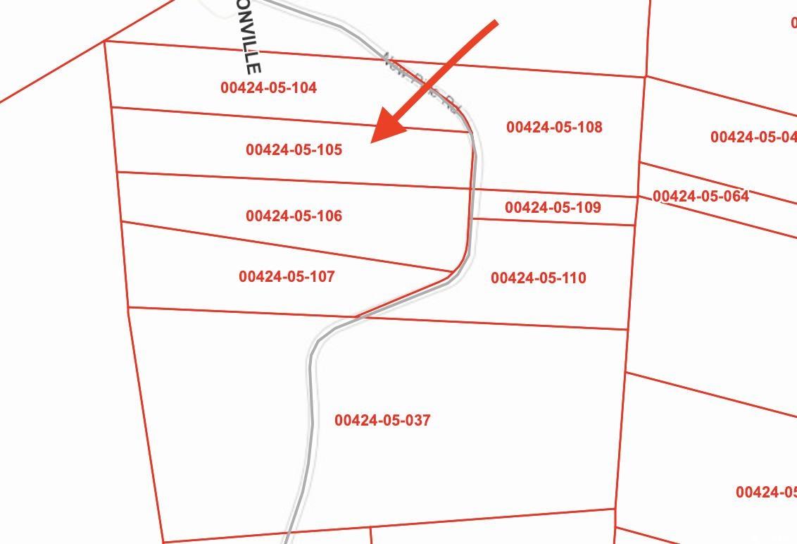 TBD New Pine Rd. Johnsonville, SC 29555