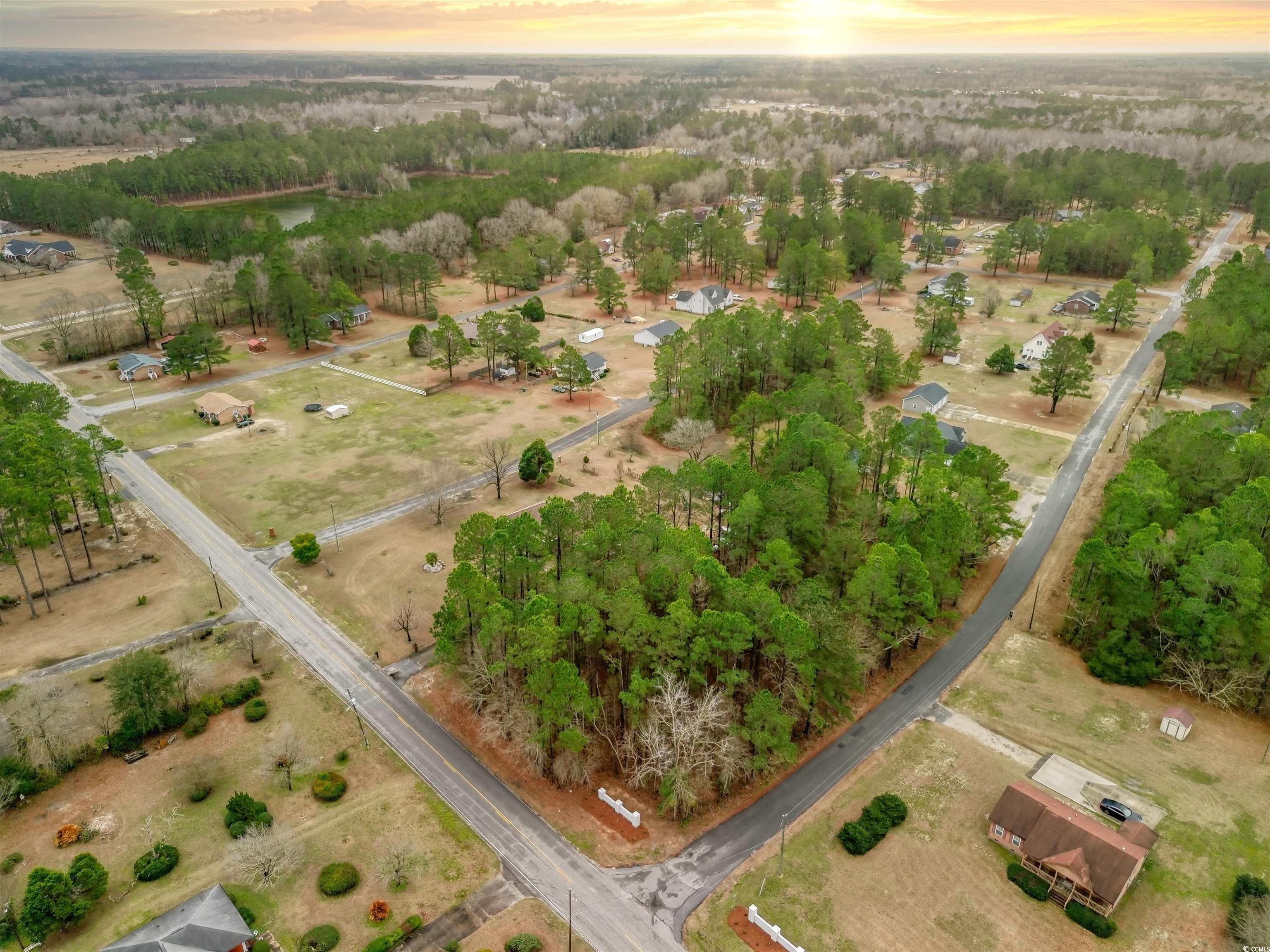 Lot 1 C Peach Tree Rd., Marion, South Carolina image 1