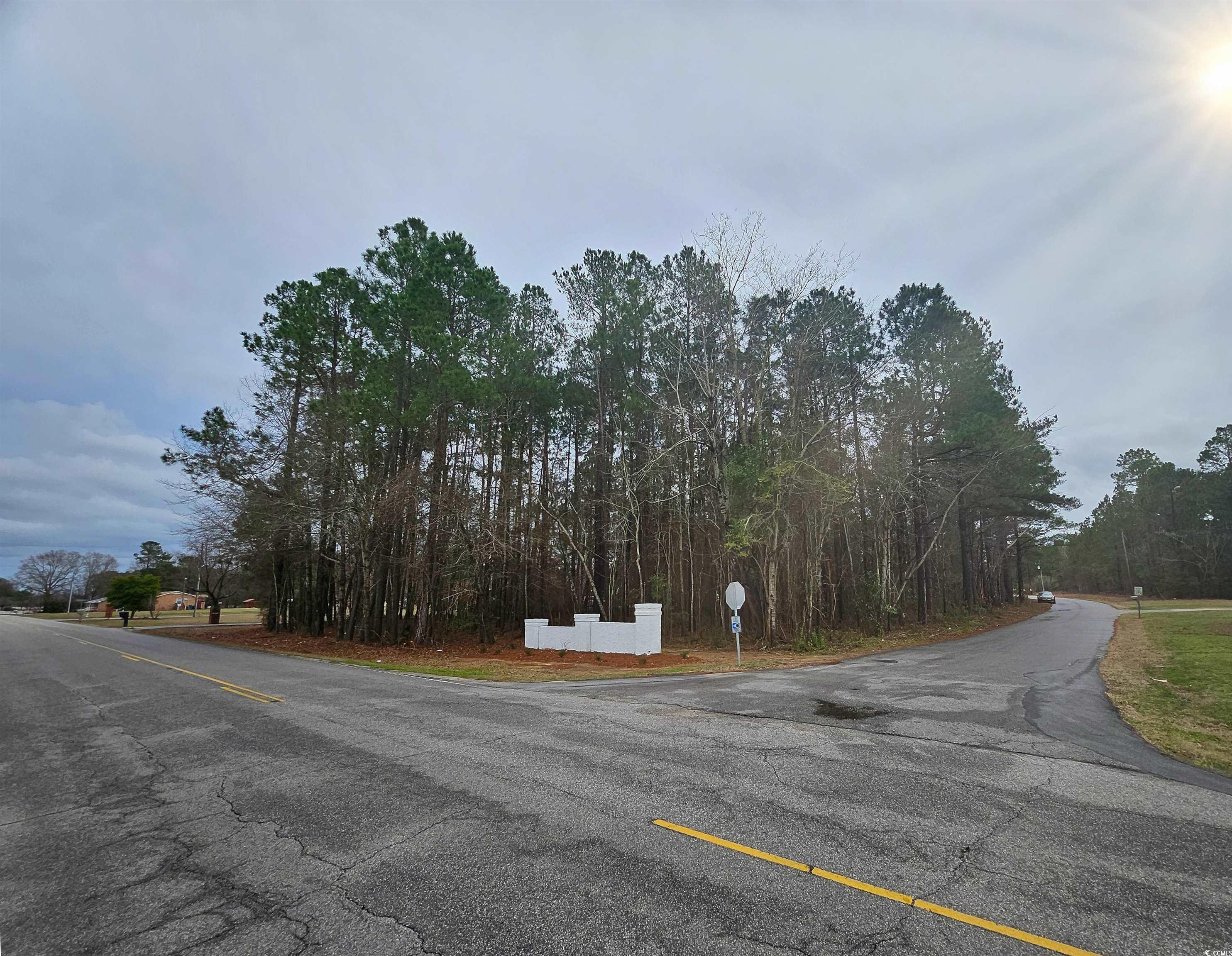 Lot 1 C Peach Tree Rd., Marion, South Carolina image 6