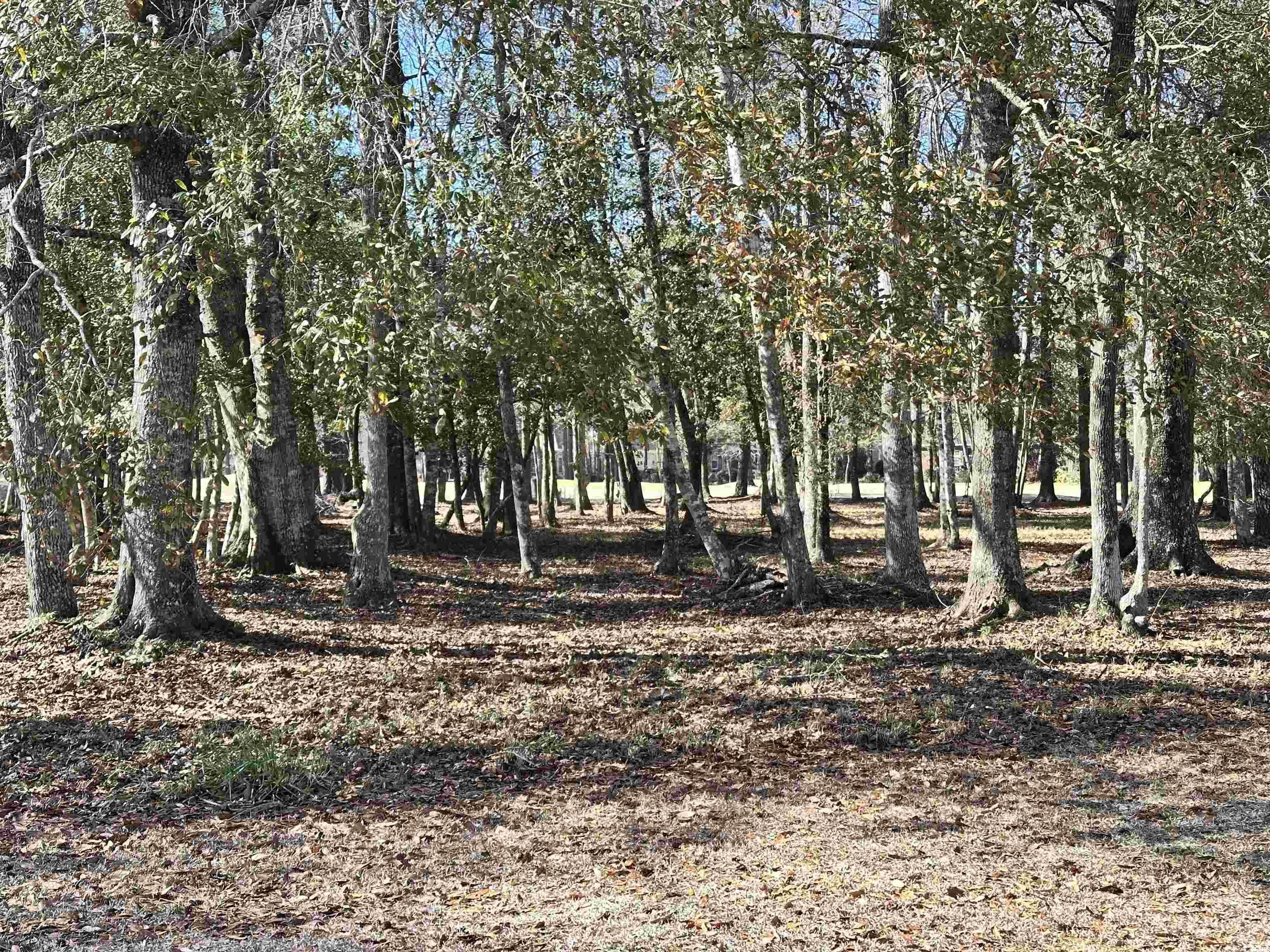 955 Cat Briar Ct. Longs, SC 29568