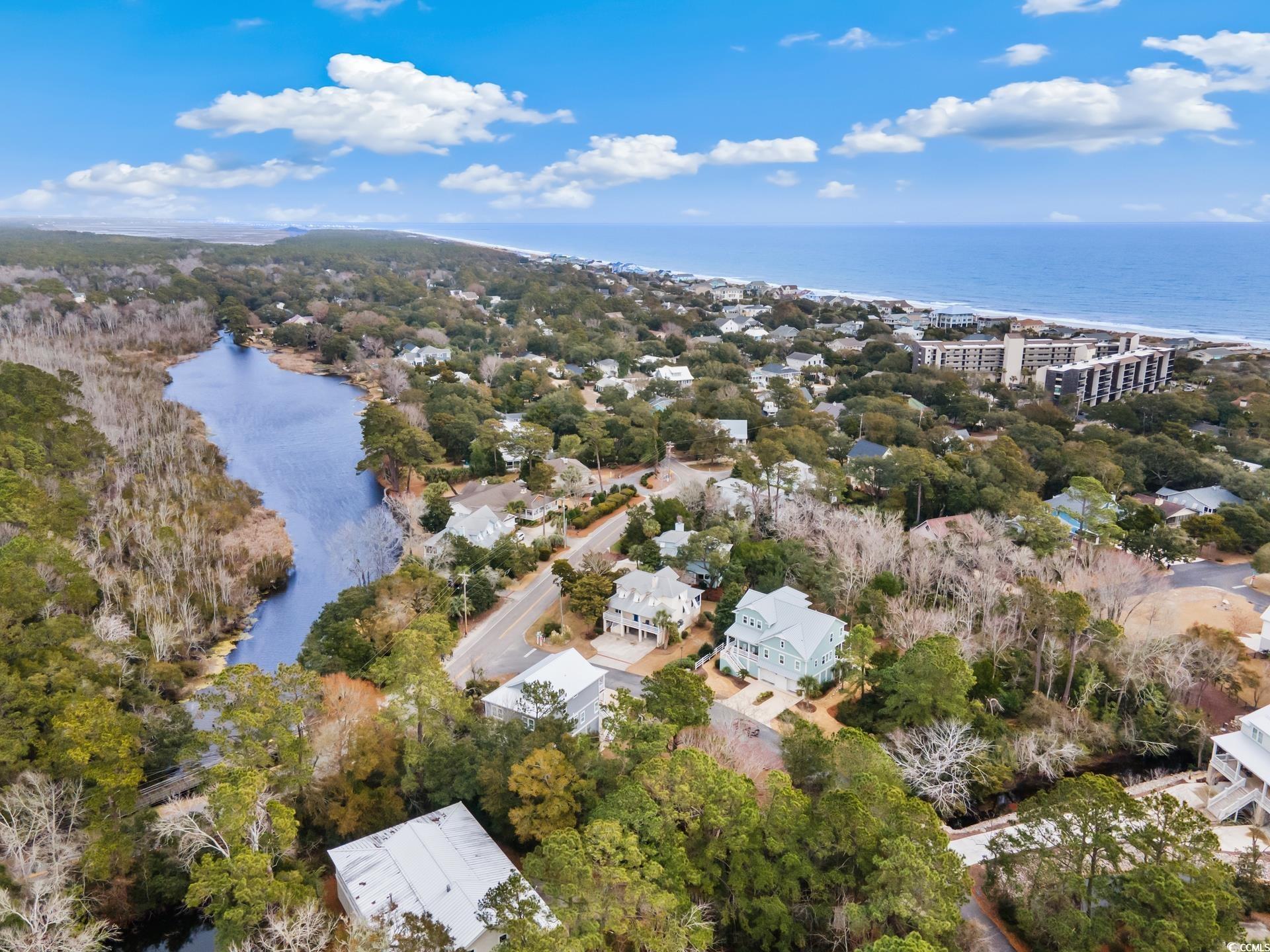 438 Cayman Loop, Pawleys Island, South Carolina image 36