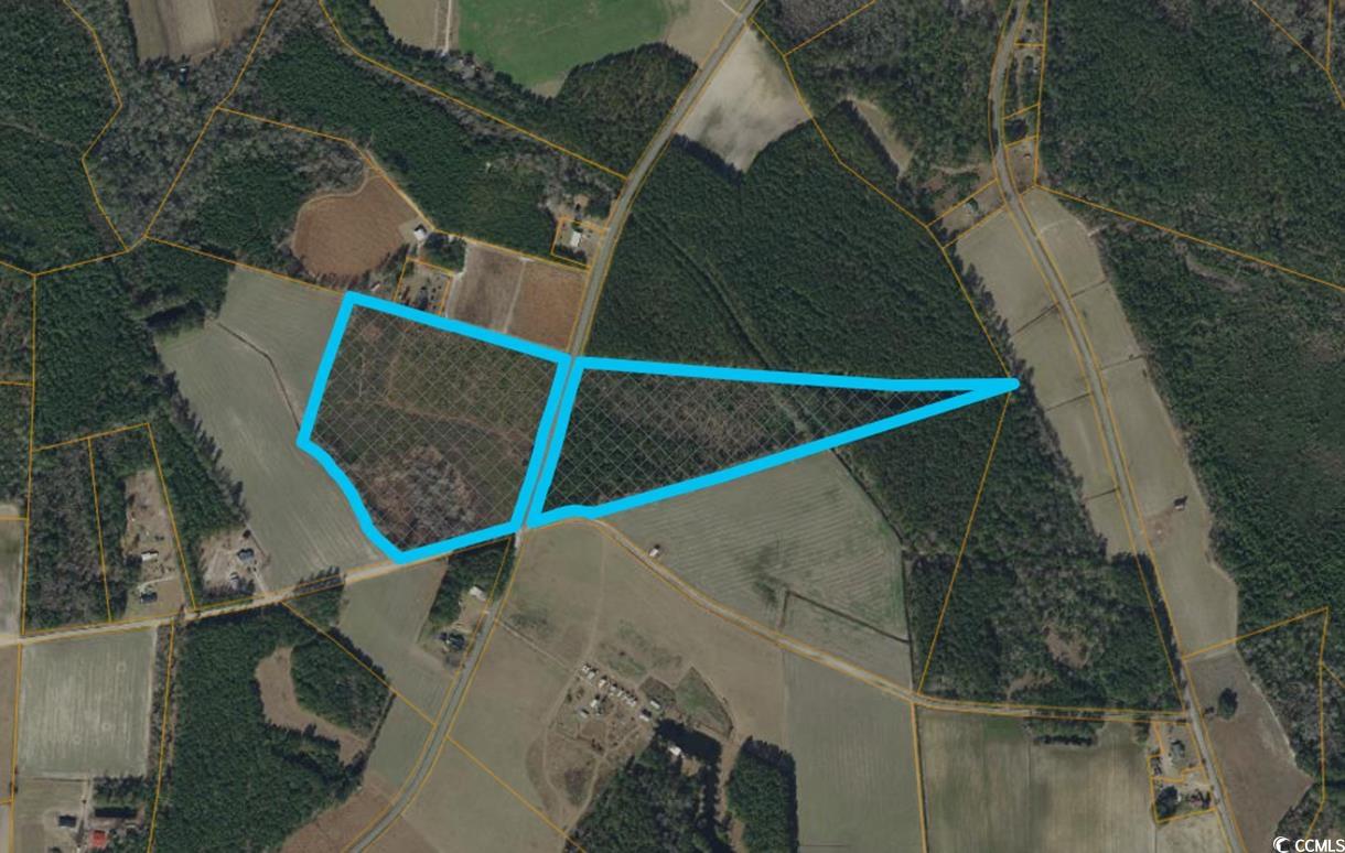 TBD11X Nichols Hwy. Nichols, SC 29581