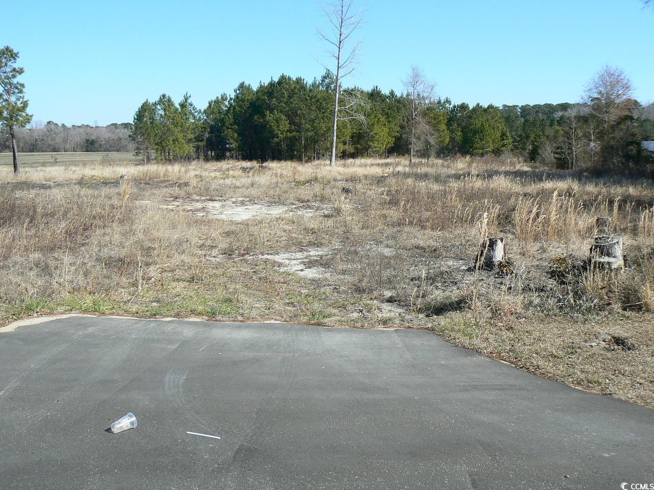 TBD Red Bluff Rd. Loris, SC 29569