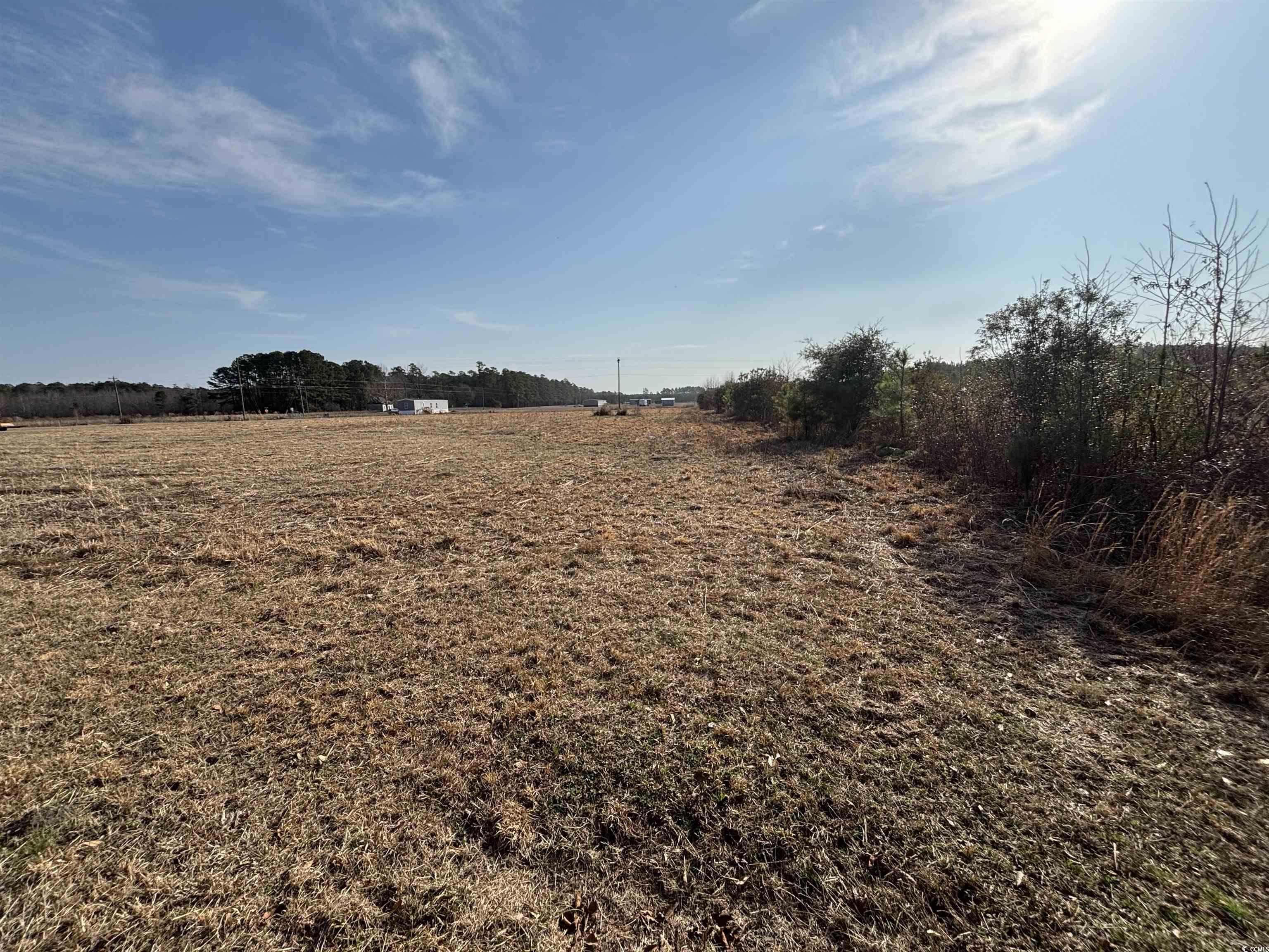Lot 4 Strickland Rd., Green Sea, South Carolina image 2