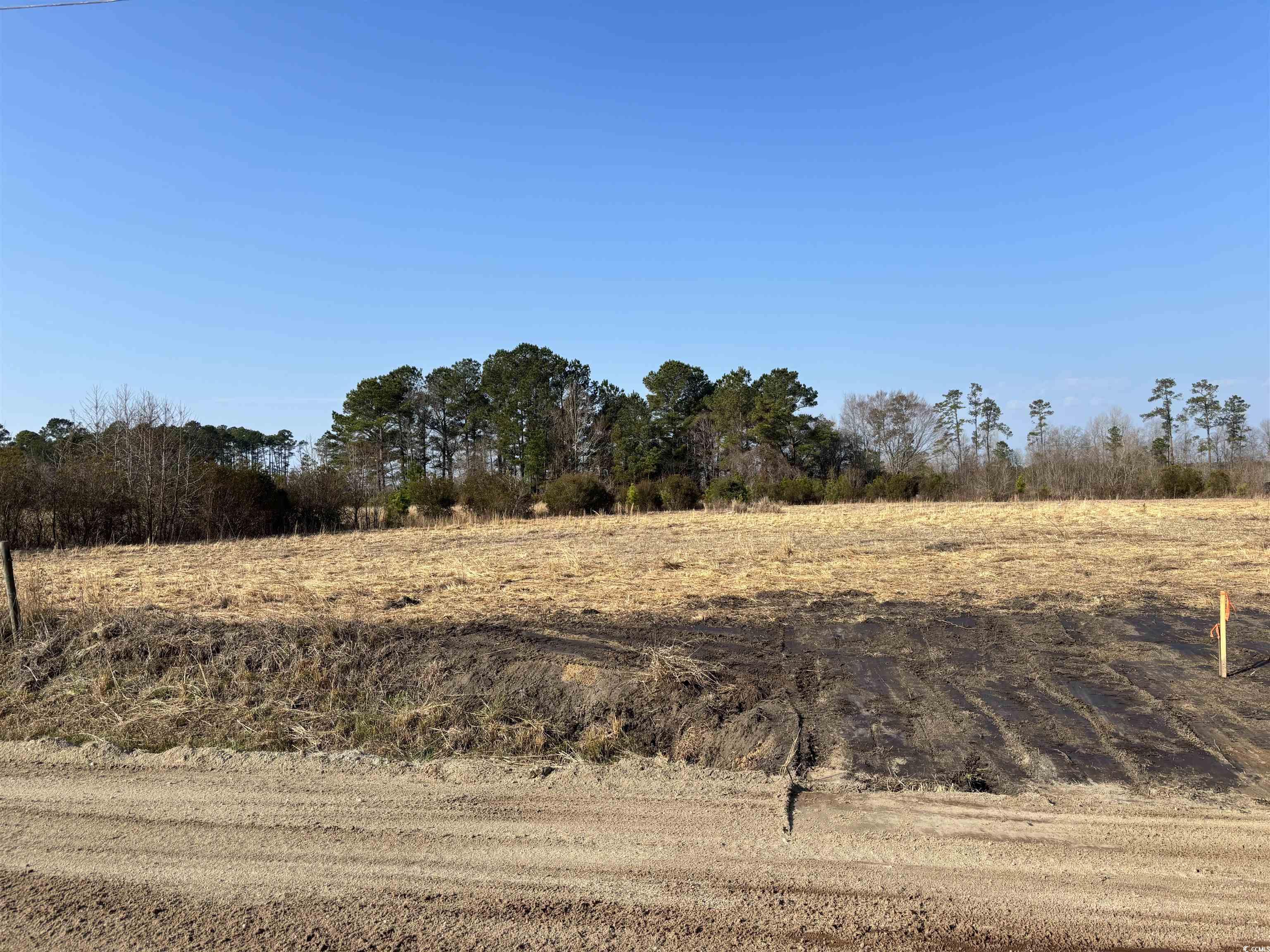 Lot 4 Strickland Rd., Green Sea, South Carolina image 3