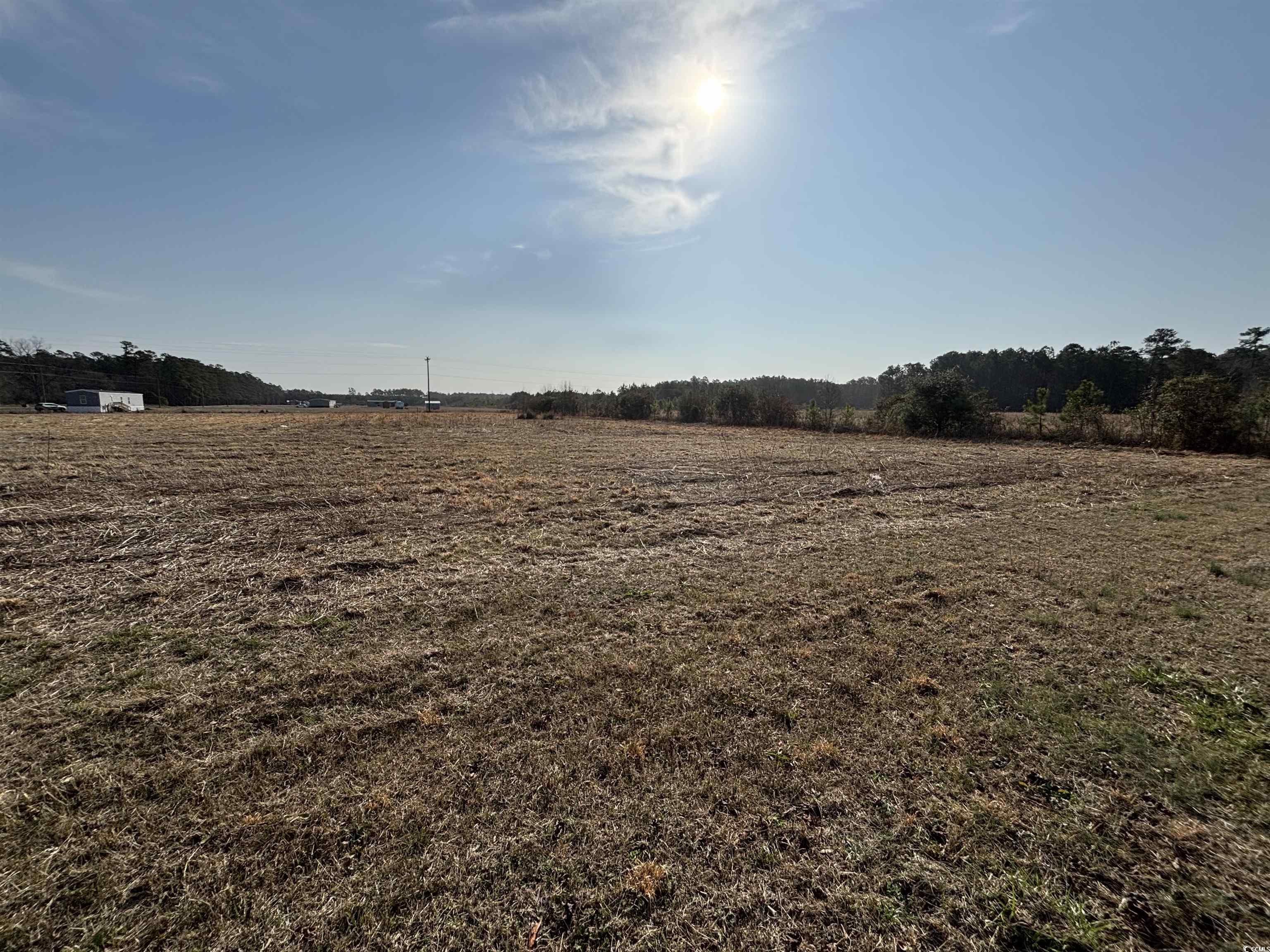 Lot 4 Strickland Rd., Green Sea, South Carolina image 4