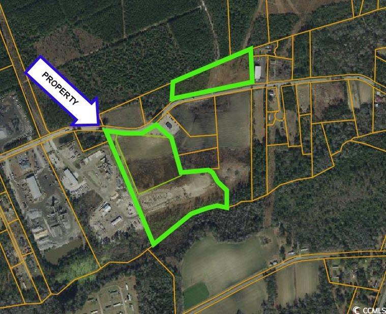 TBD Mount Pisgah Cemetery Rd. Conway, SC 29526