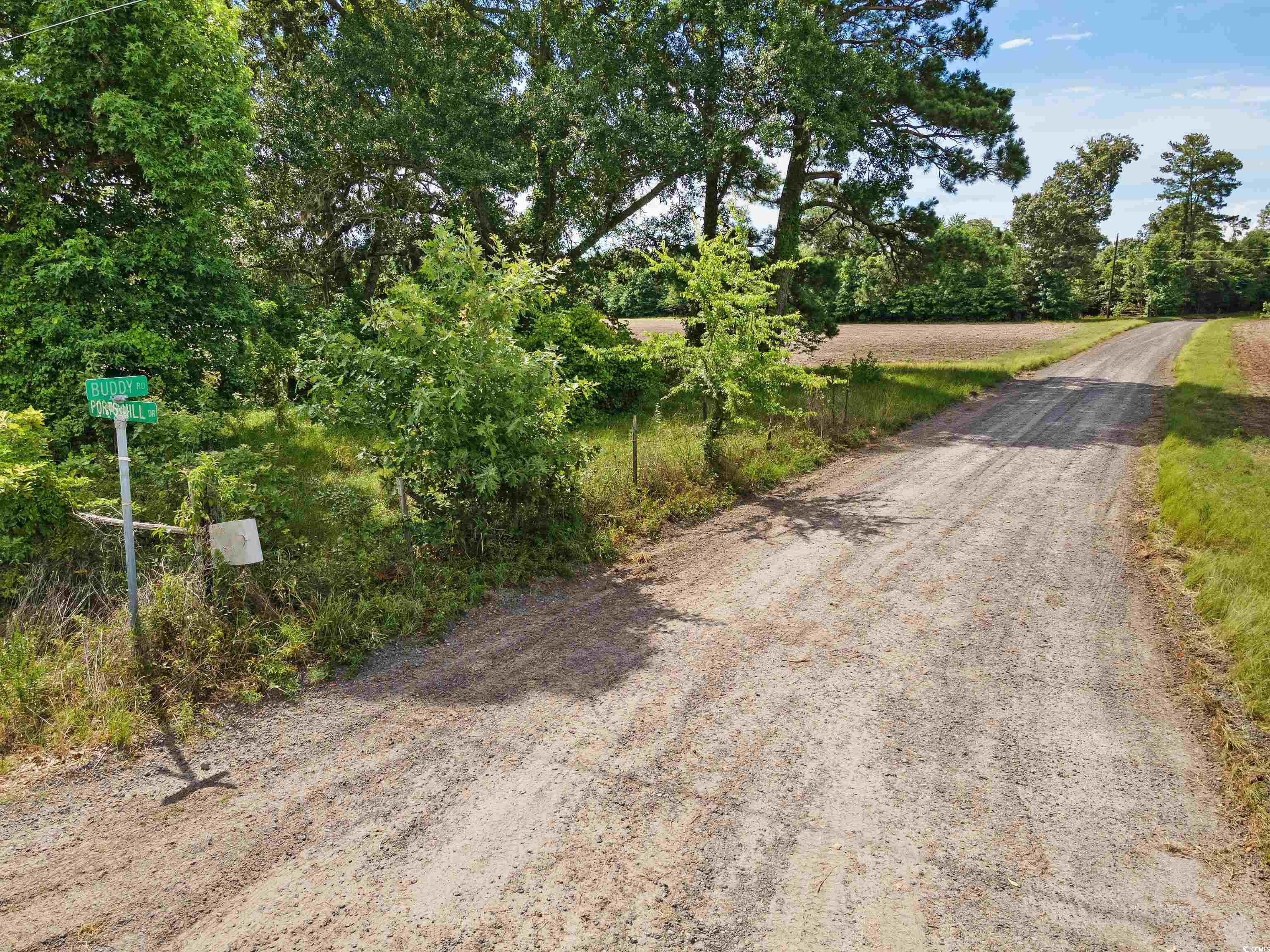 314 Buddy Rd Hemingway, SC 29554