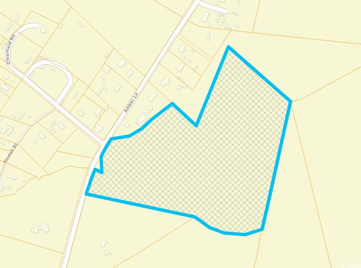 TBD14 Amber Ln. Galivants Ferry, SC 29544