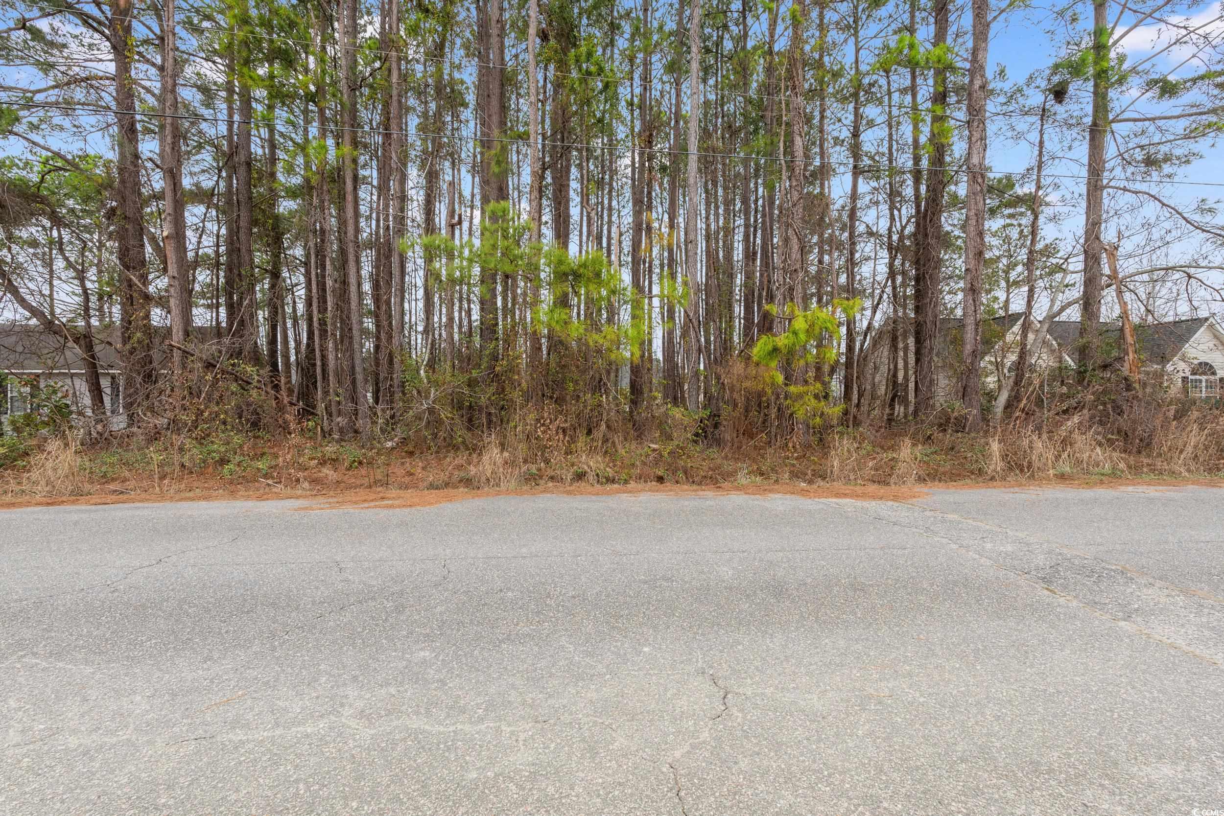 3435 Spivey St. Loris, SC 29569