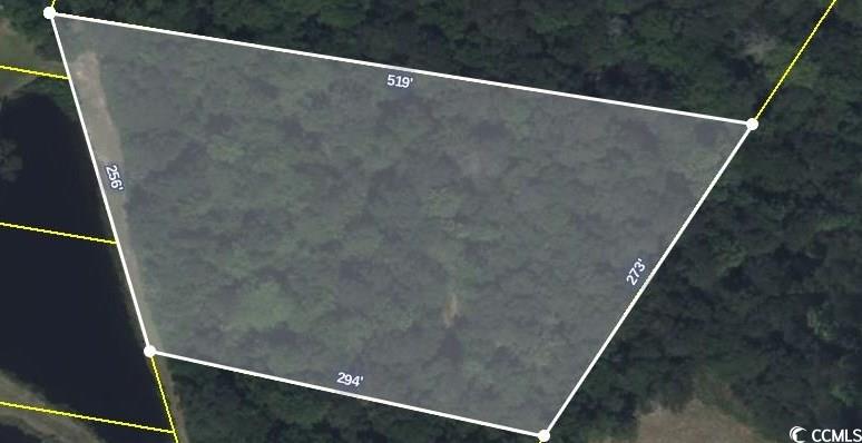 TBD Goff Rd., Aynor, South Carolina image 3