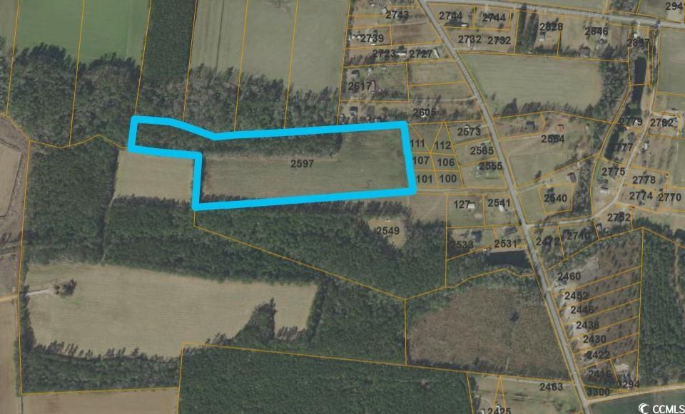 2597 Nichols Hwy., Aynor, South Carolina image 2