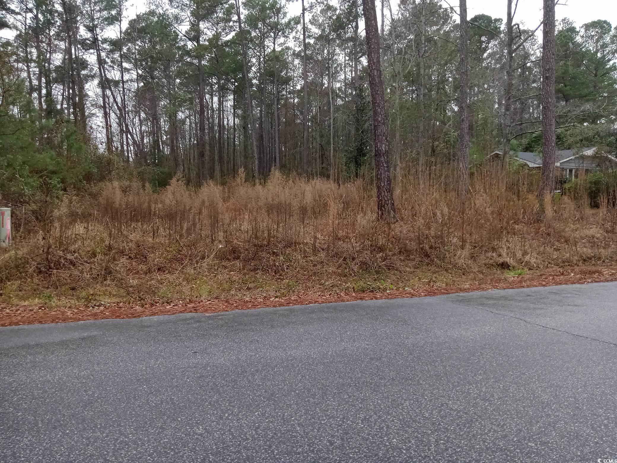 510 E Oliver St., Whiteville, North Carolina image 2