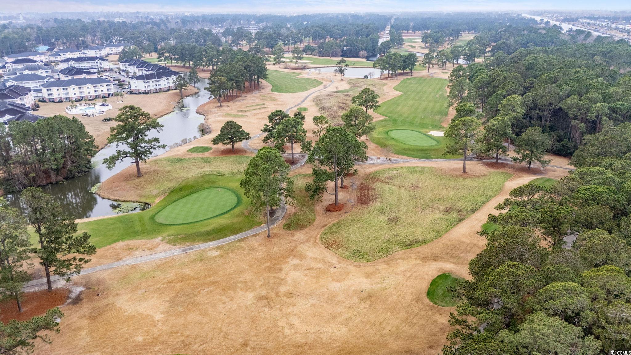 4882 Luster Leaf Circle #305, Myrtle Beach, South Carolina image 31