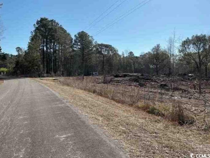 Tract F Earl Rd., Georgetown, South Carolina image 1