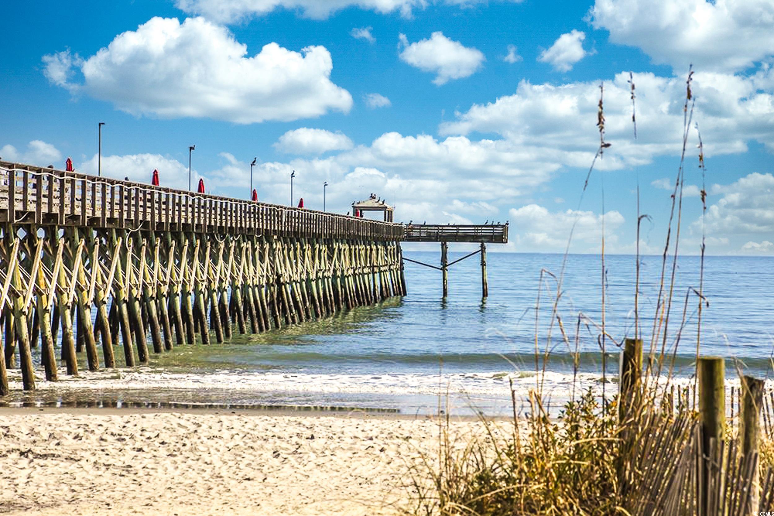 400 20th Ave. N #101, Myrtle Beach, South Carolina image 36