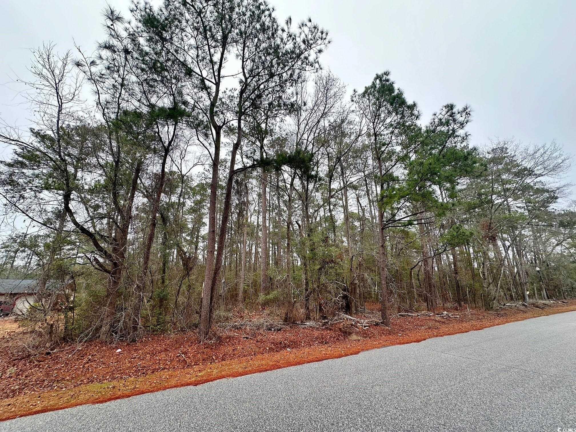 5370 Crutchlow Ct., Nichols, South Carolina image 1