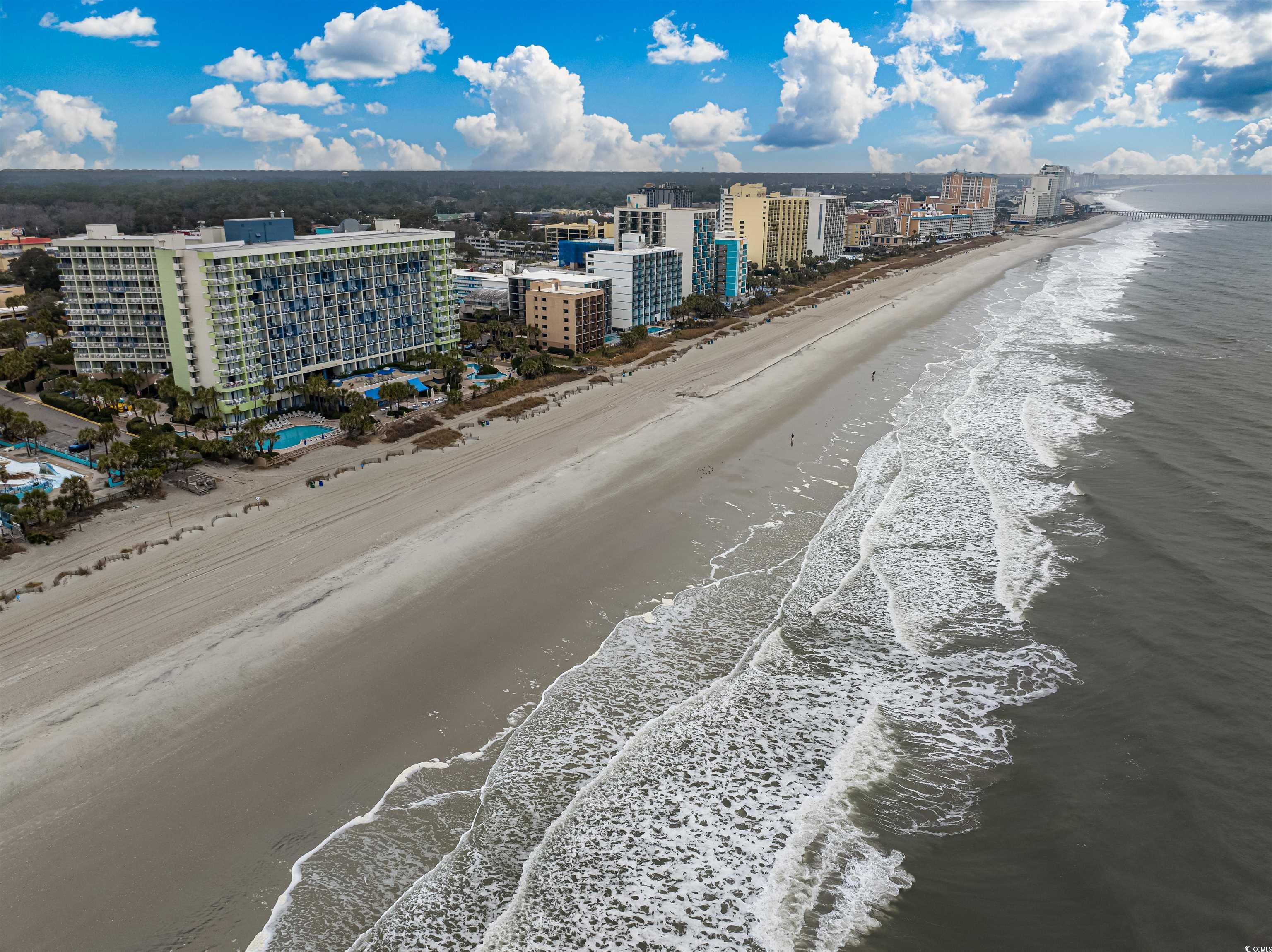 1105 South Ocean Blvd. #852, Myrtle Beach, South Carolina image 26