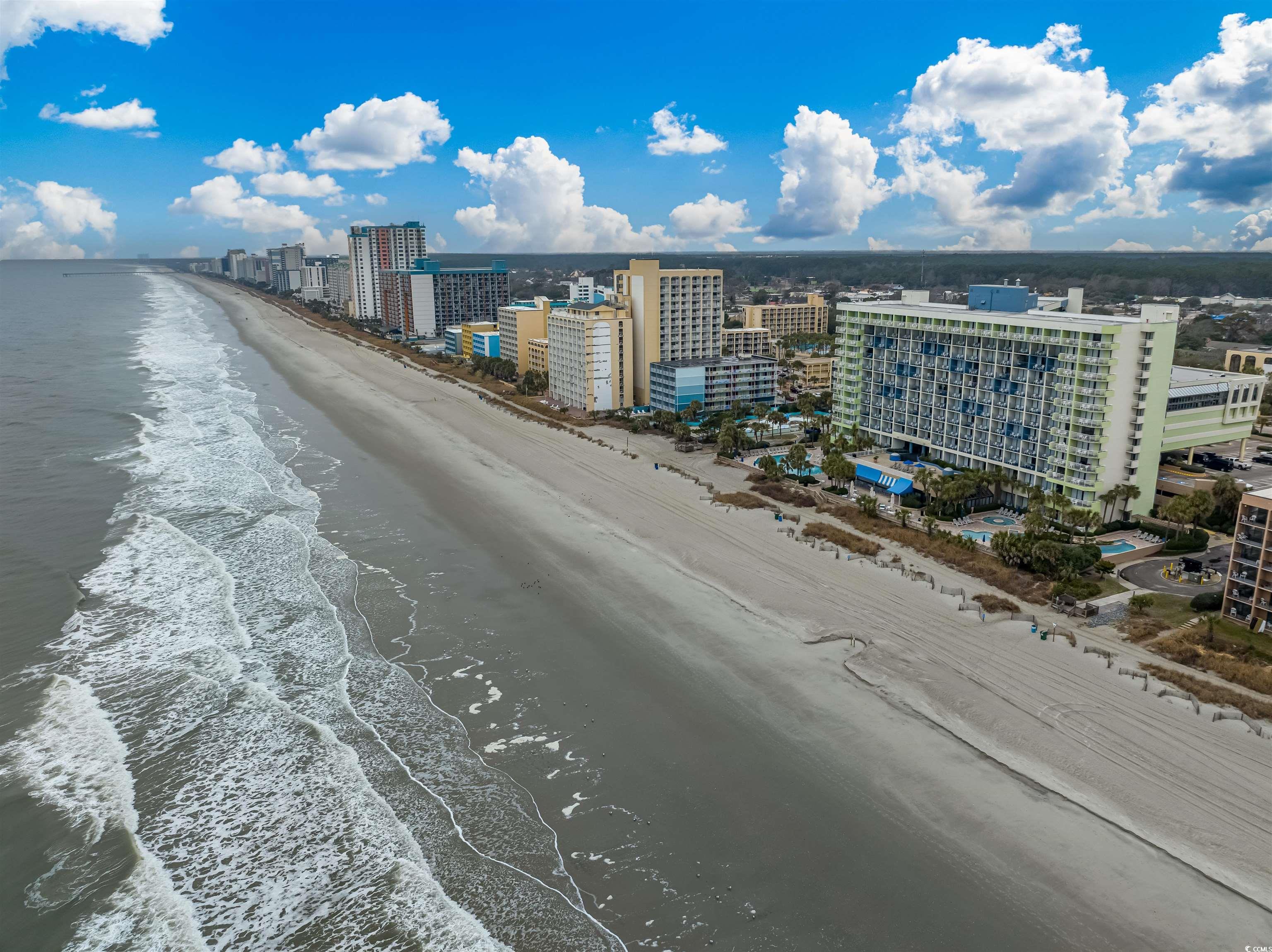 1105 South Ocean Blvd. #852, Myrtle Beach, South Carolina image 29