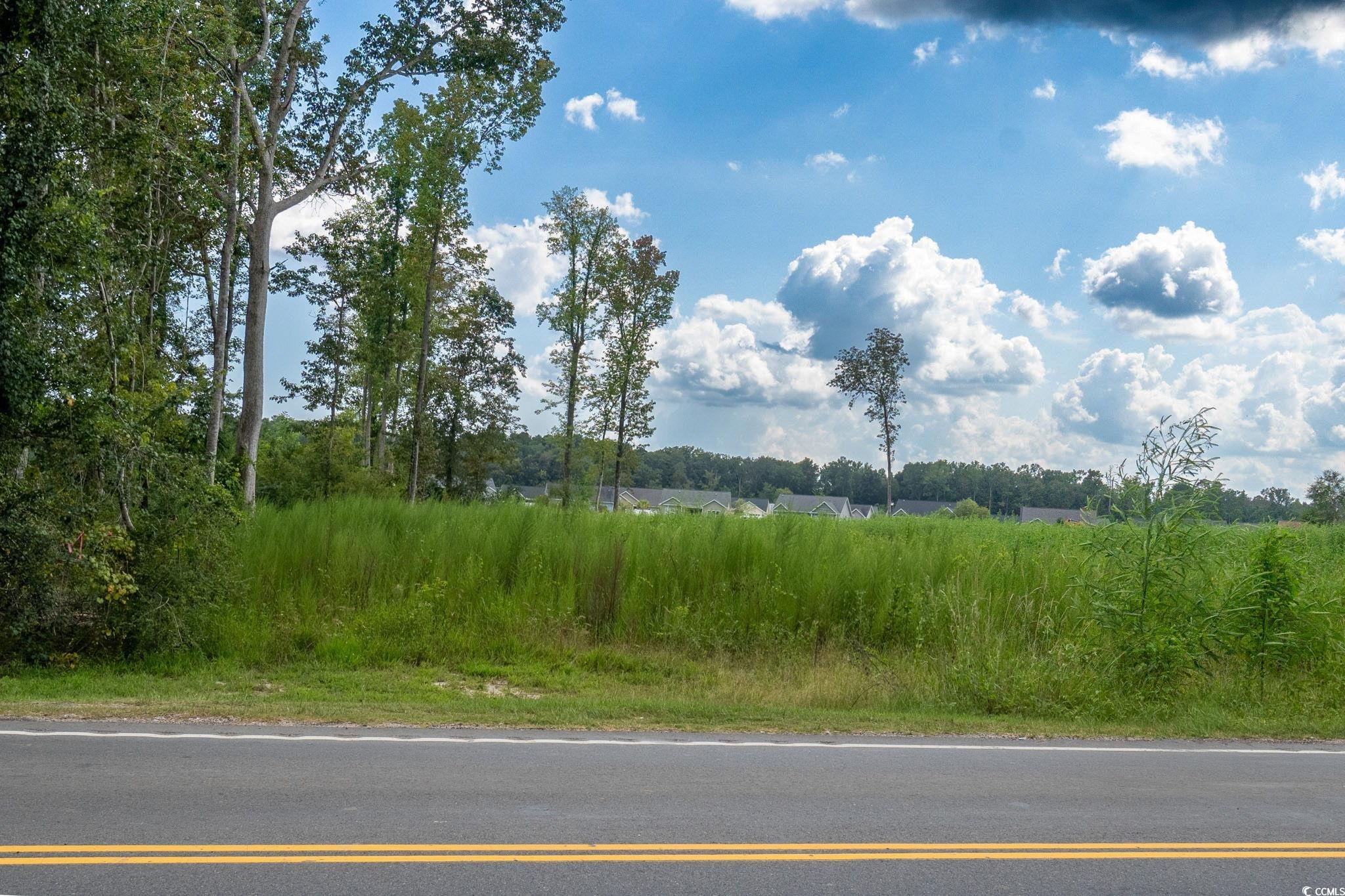 TBB Highway 548, Conway, South Carolina image 3