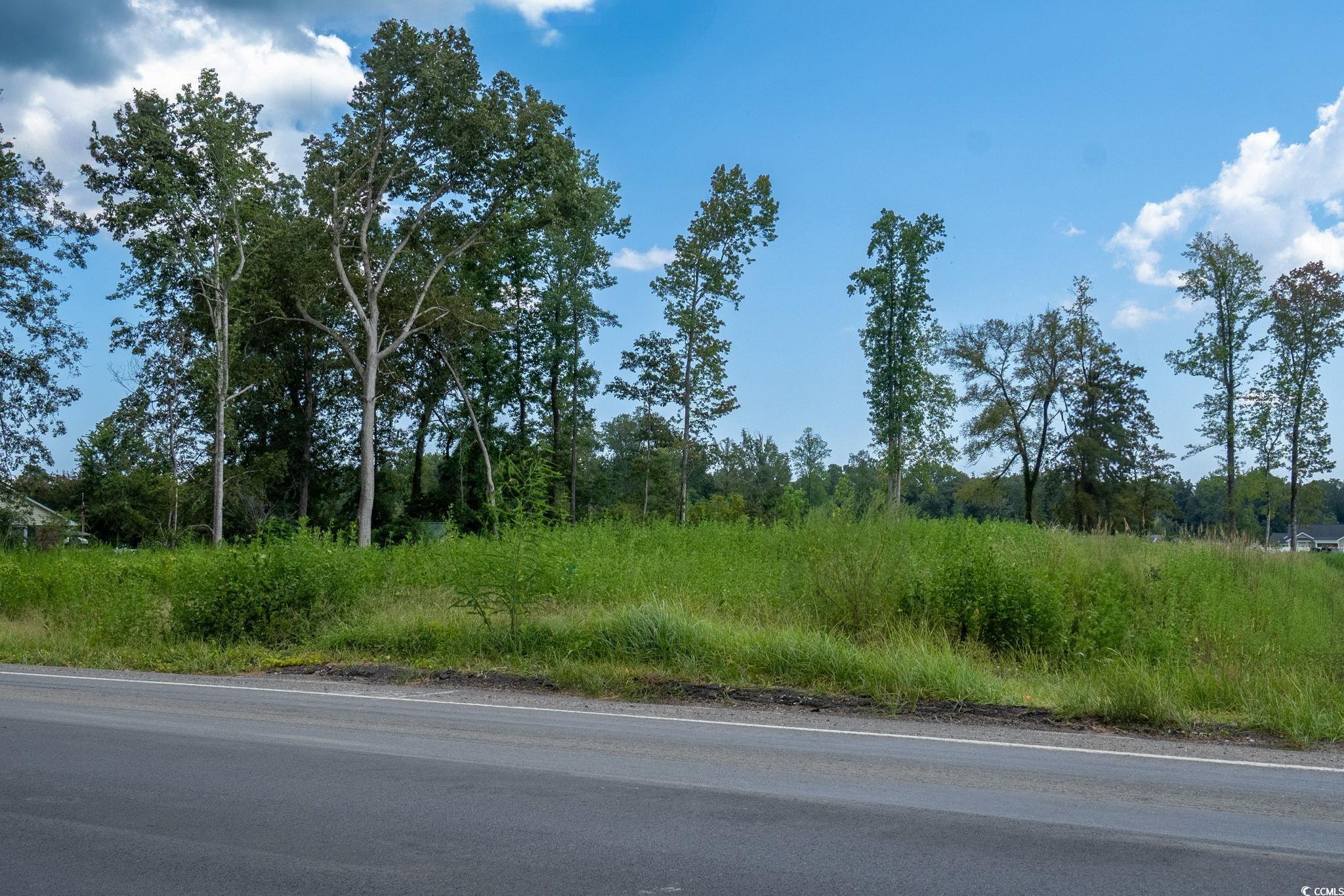 TBB Highway 548, Conway, South Carolina image 4