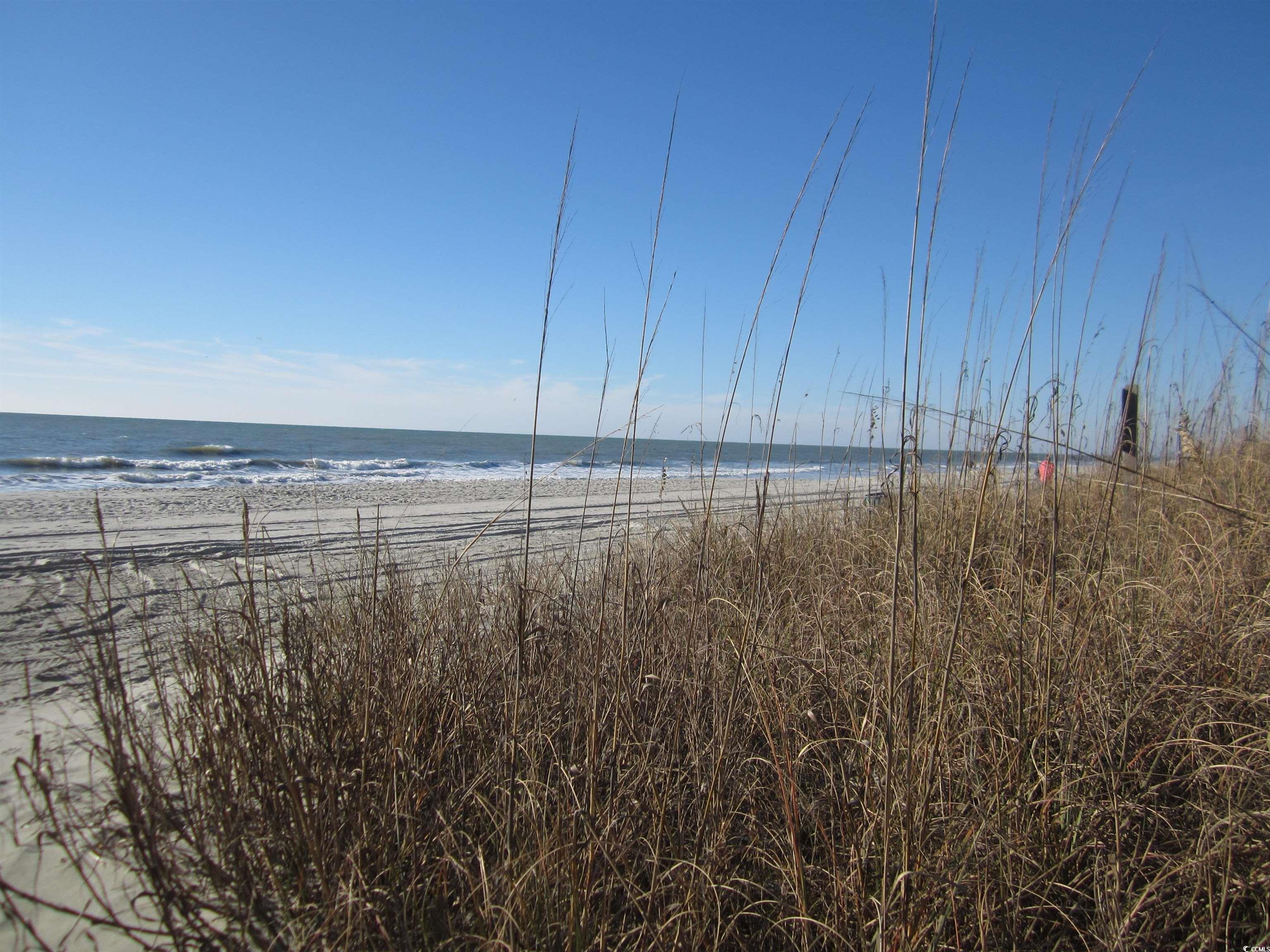 4111 Ocean Blvd. S #402, North Myrtle Beach, South Carolina image 34