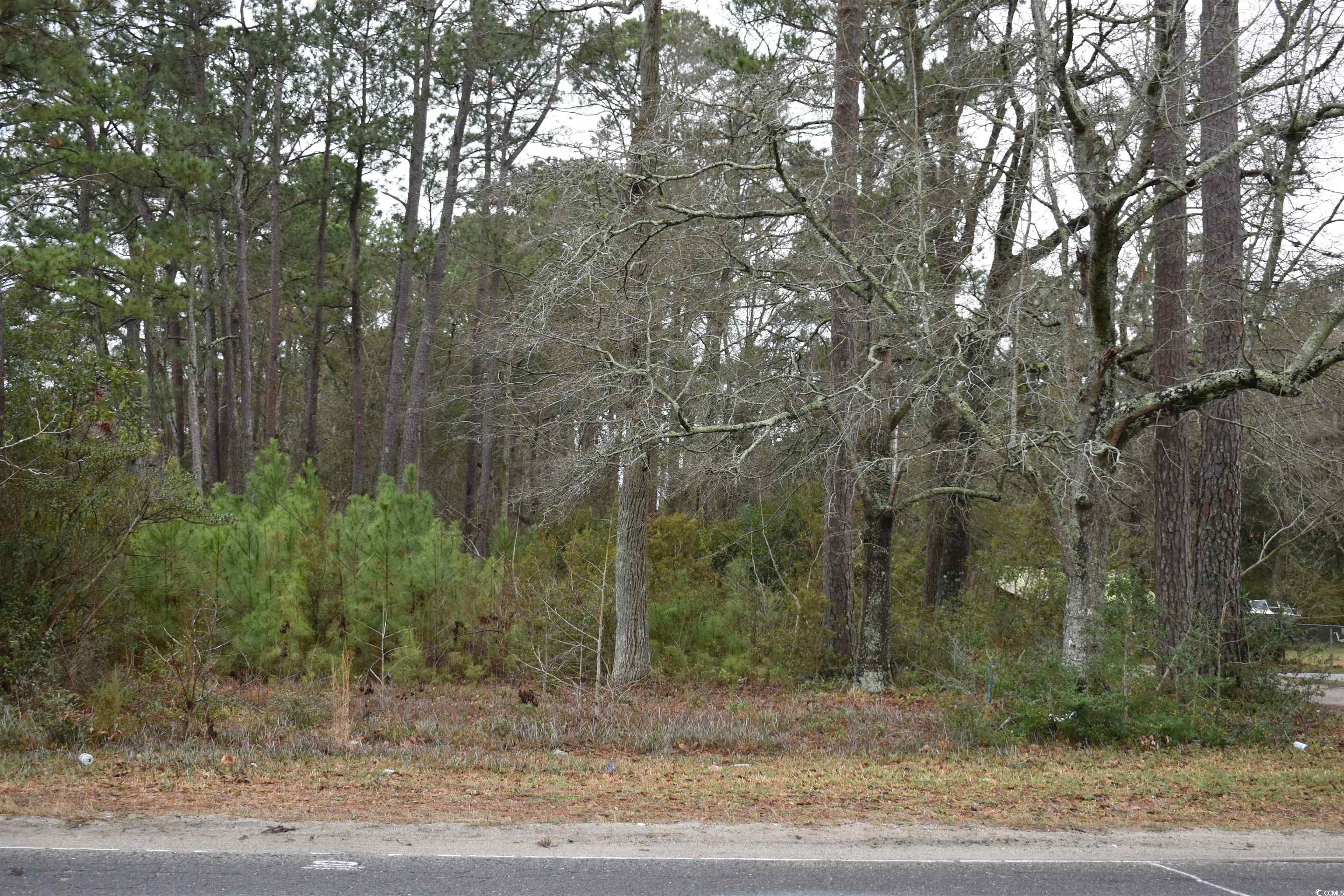 847 Wachesaw Rd. Murrells Inlet, SC 29576