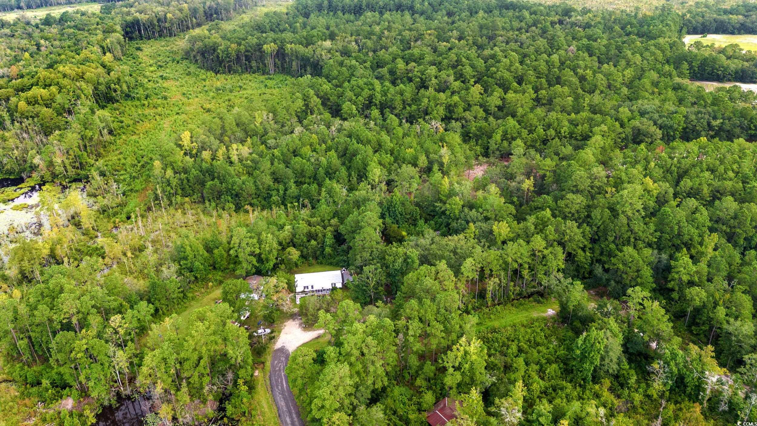 TBD Mill Swamp Rd. Longs, SC 29568